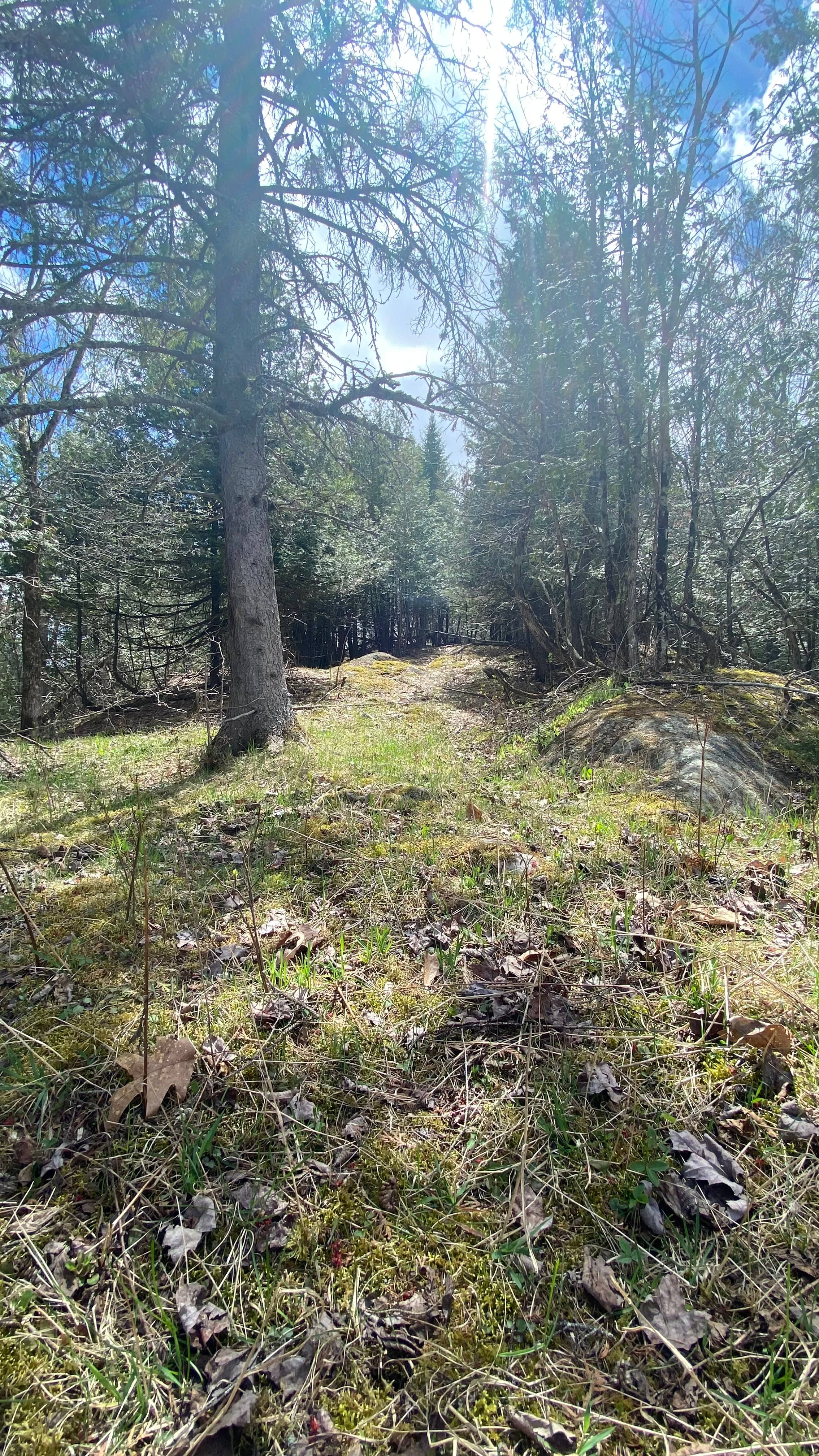 Gatineau River Camping