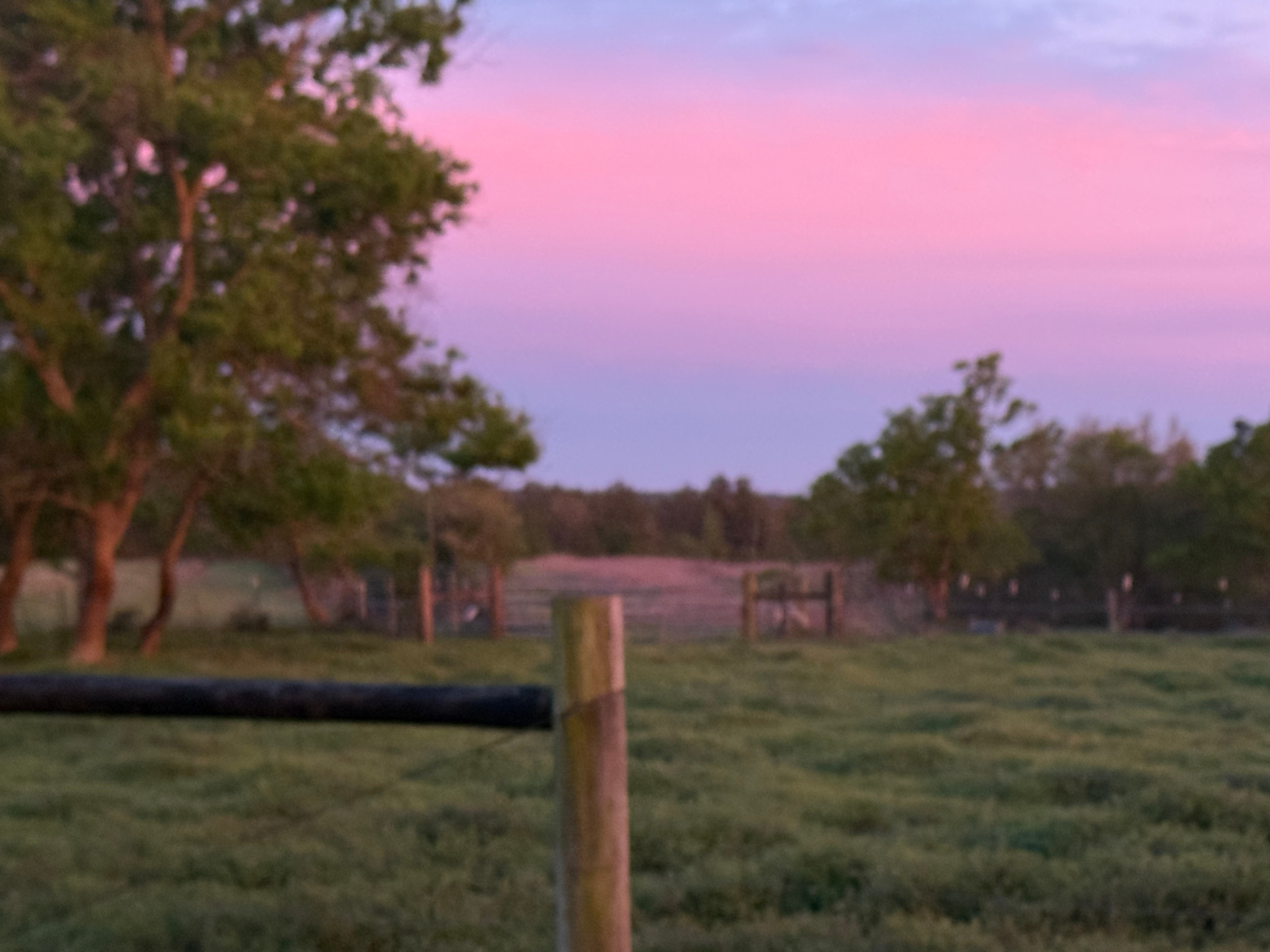 Meadow Run