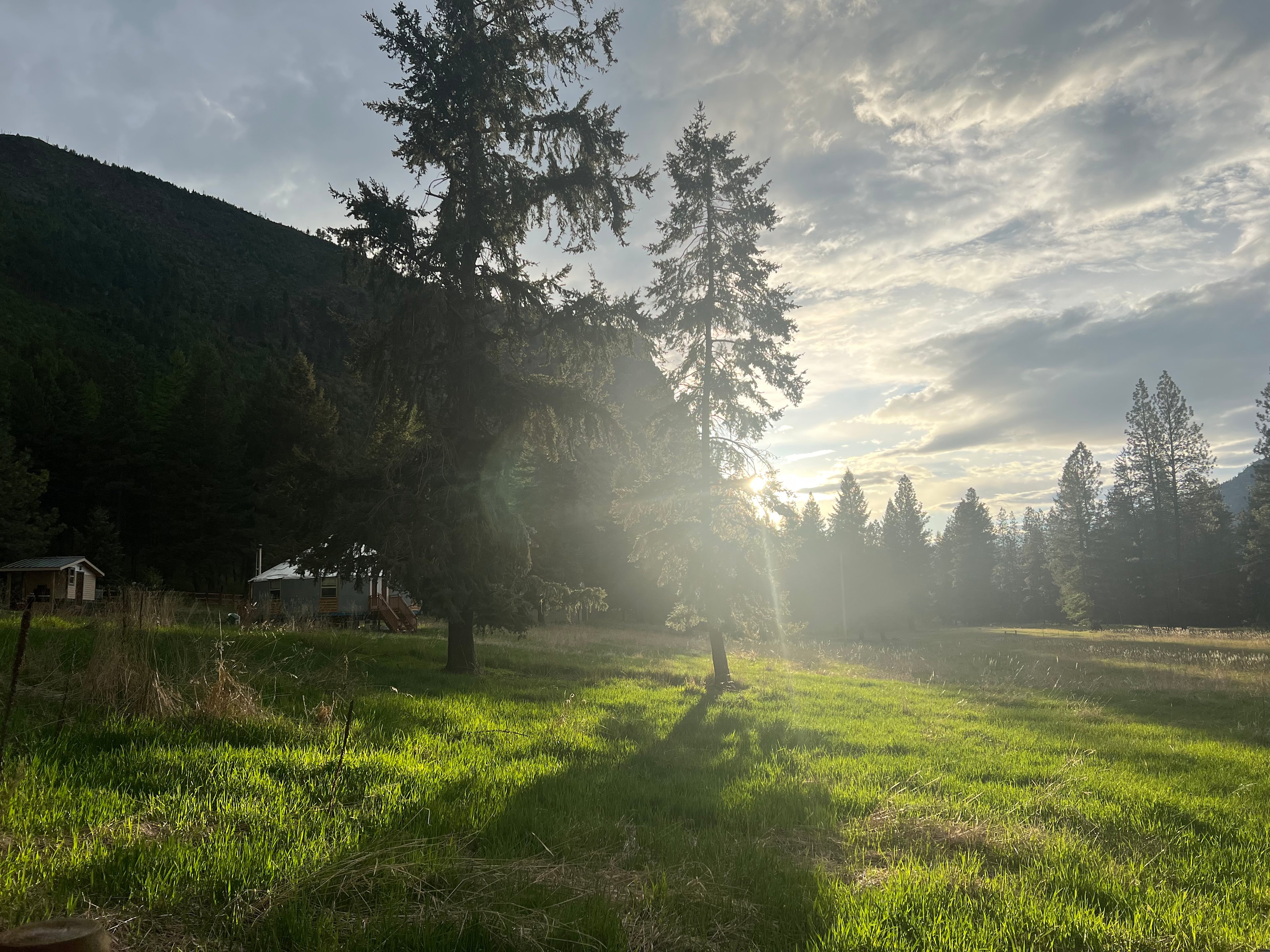 Wildlight Yurt