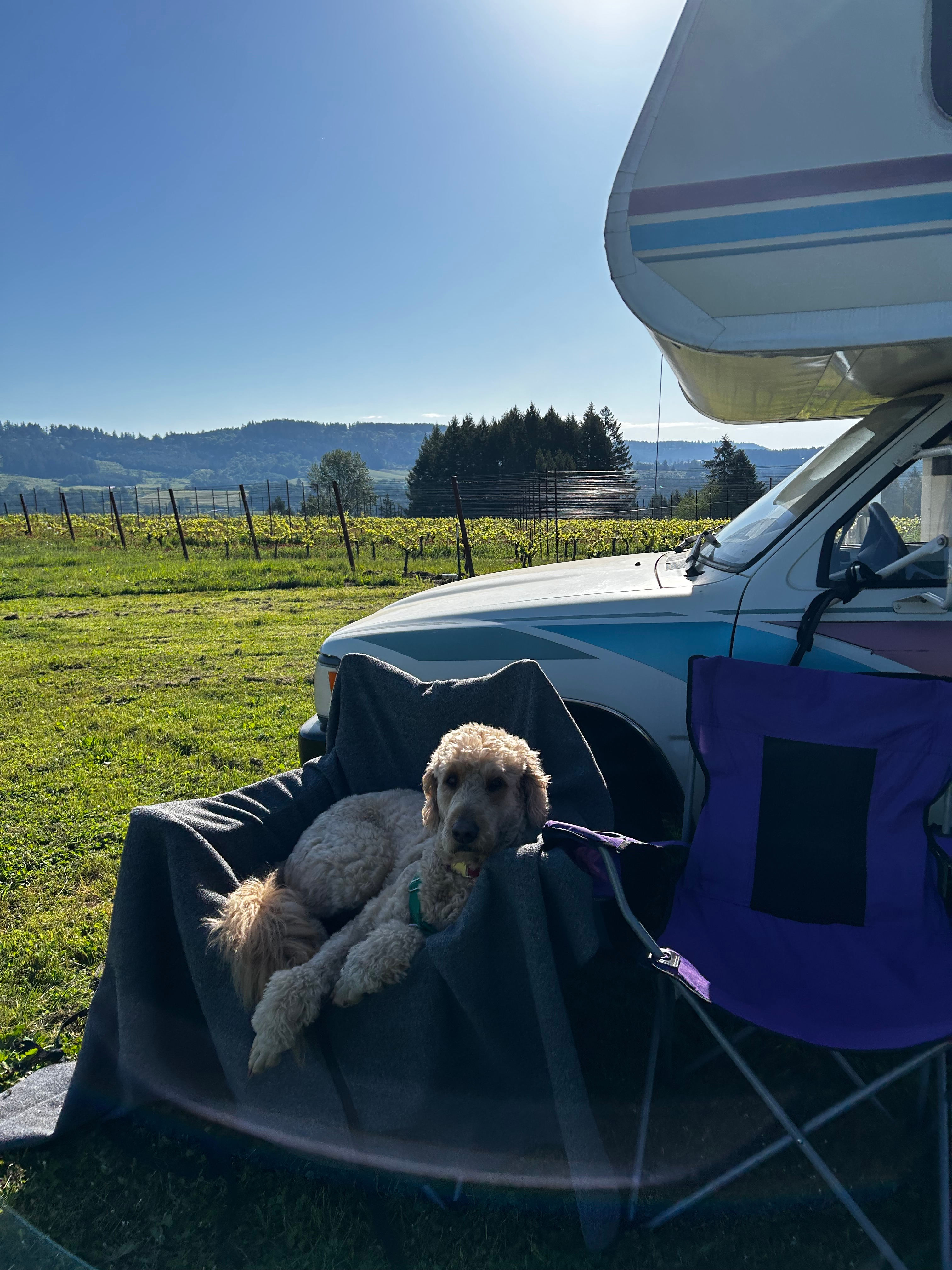 Vineyard Glamping Bliss