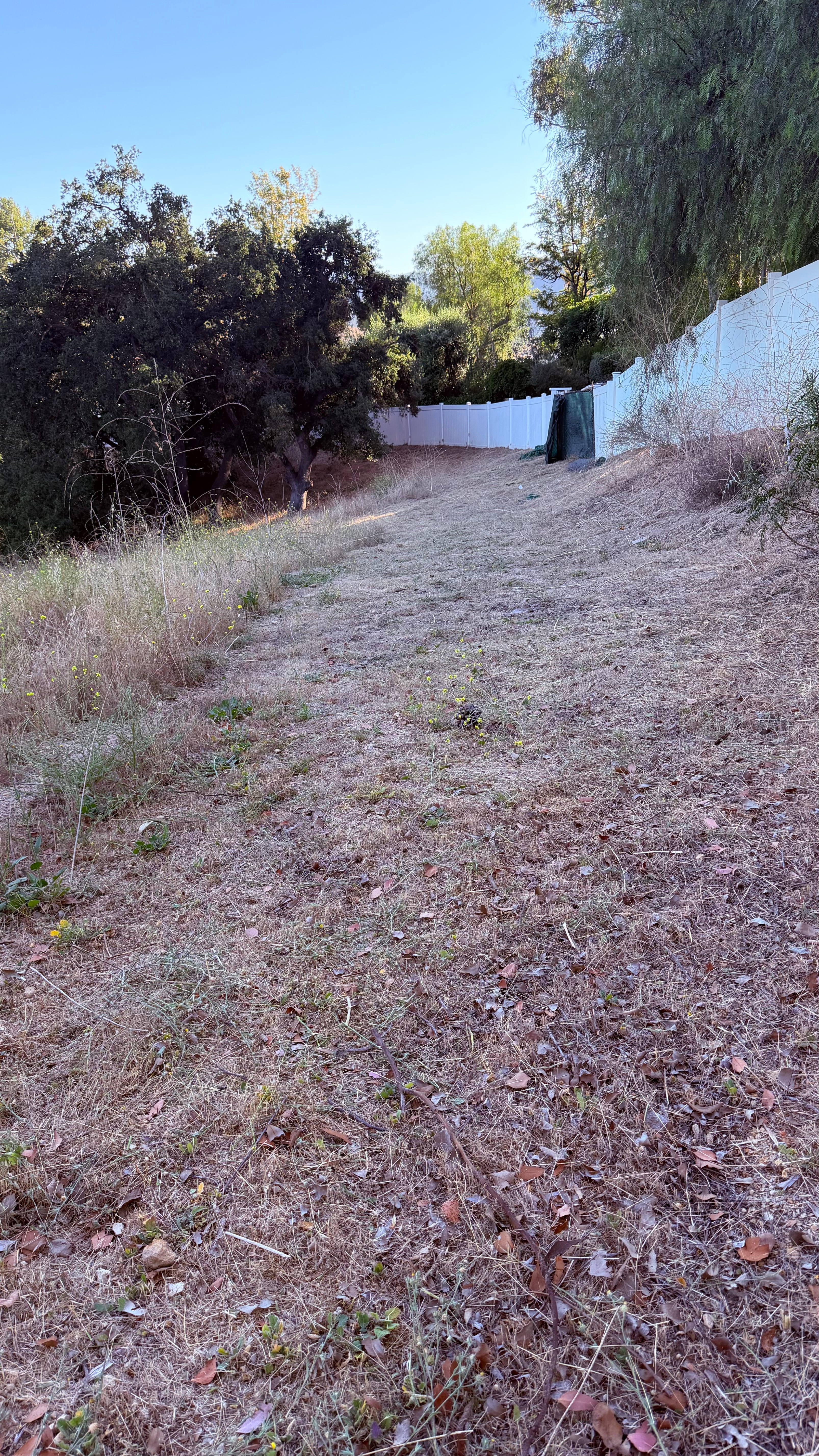 Falcon Hill