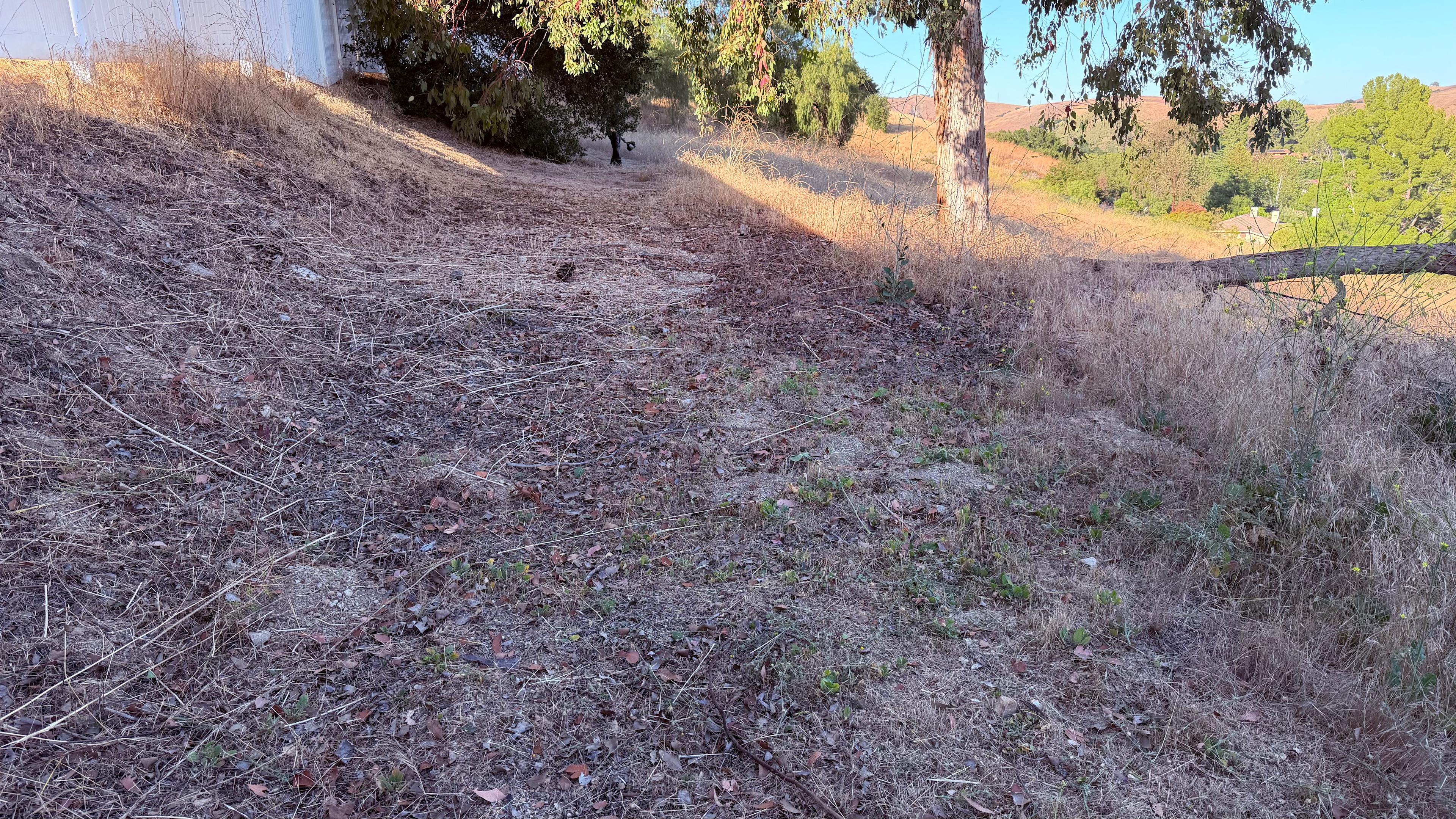 Falcon Hill
