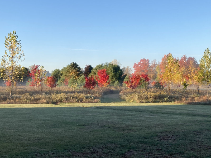 The Schuler Sanctuary