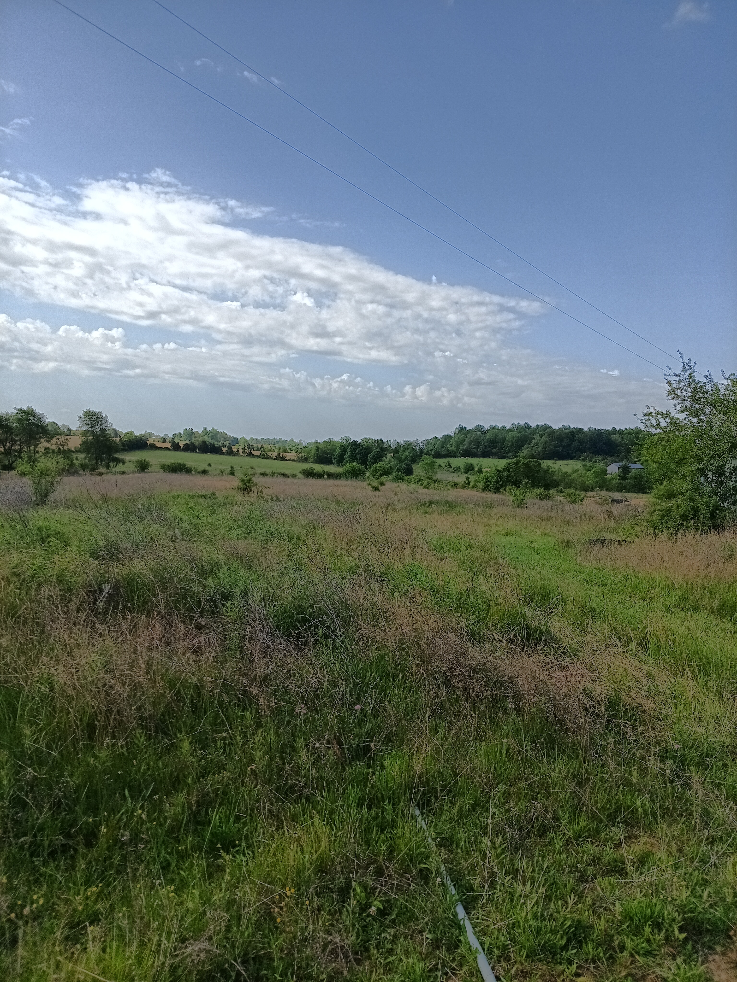 Ridgeview Farm