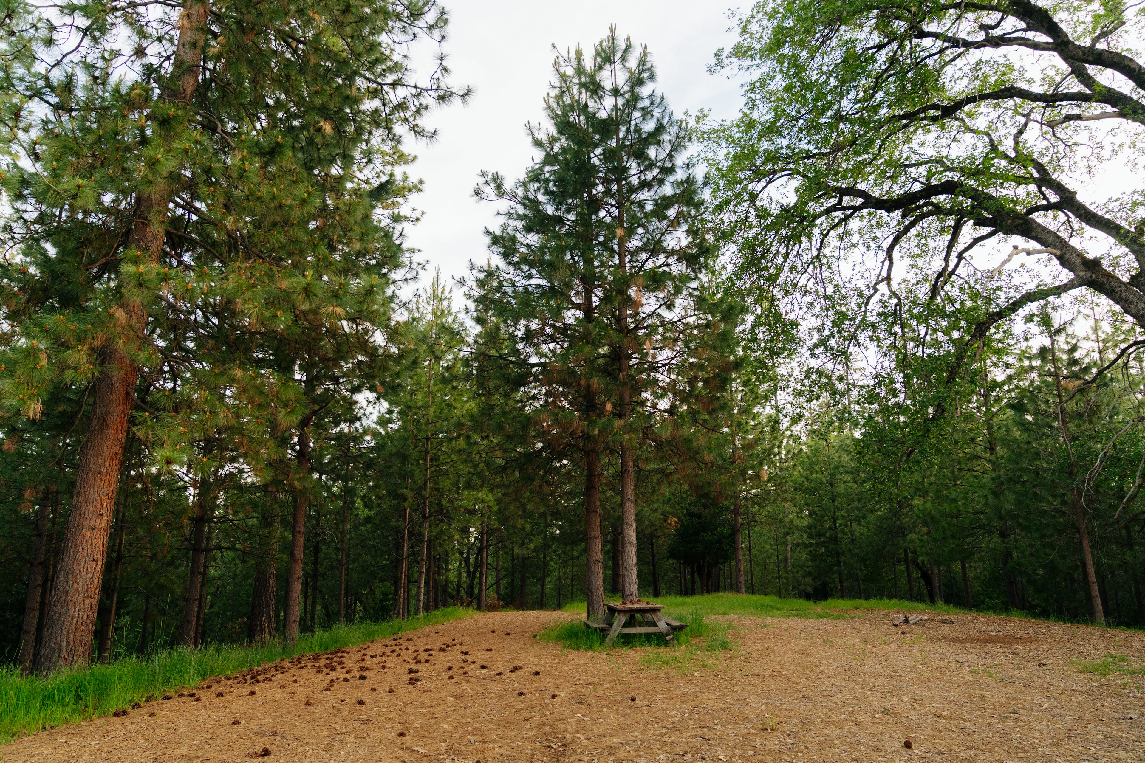 Kantu Outdoor Adventures