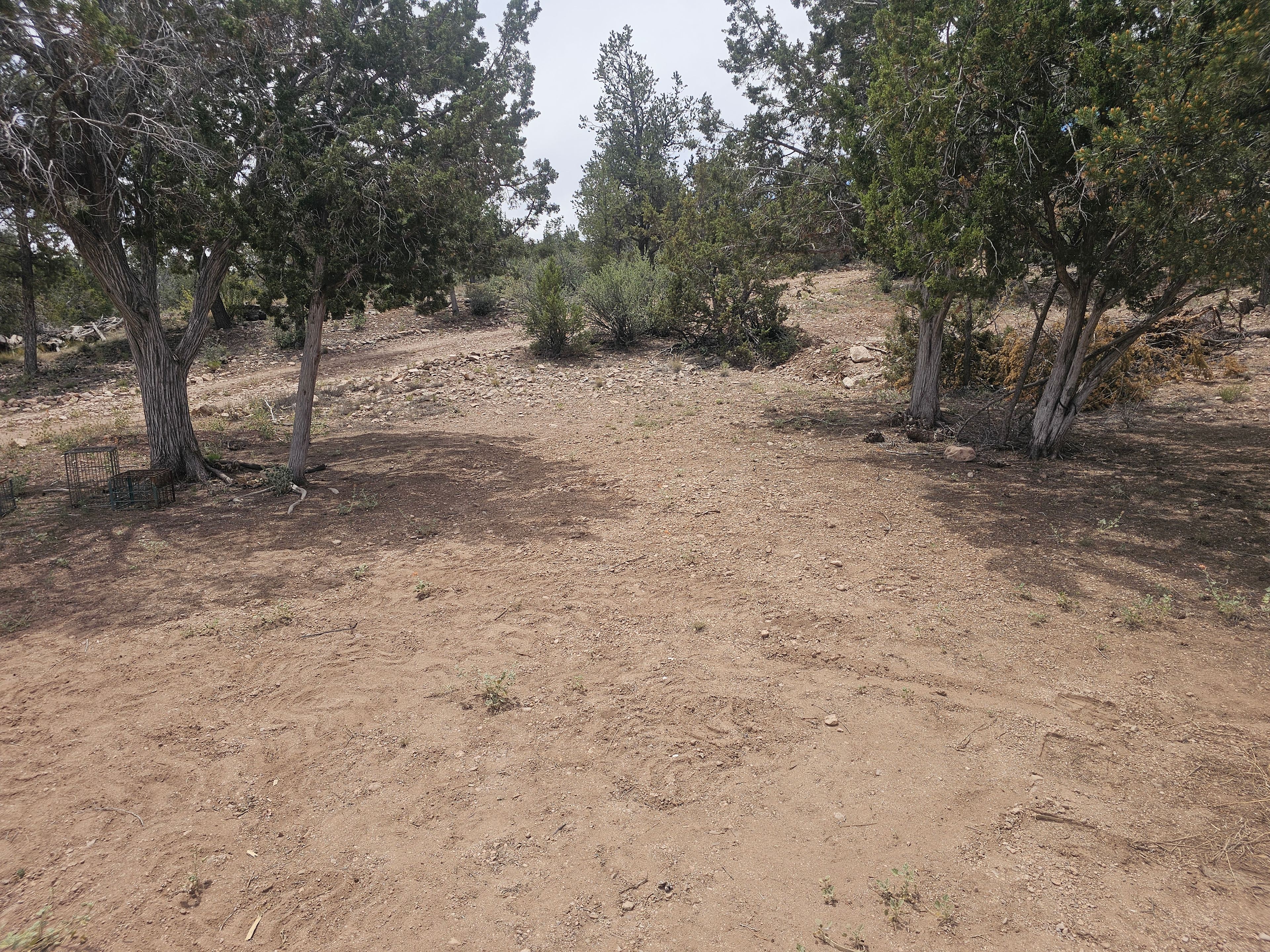 Junipine Ranch