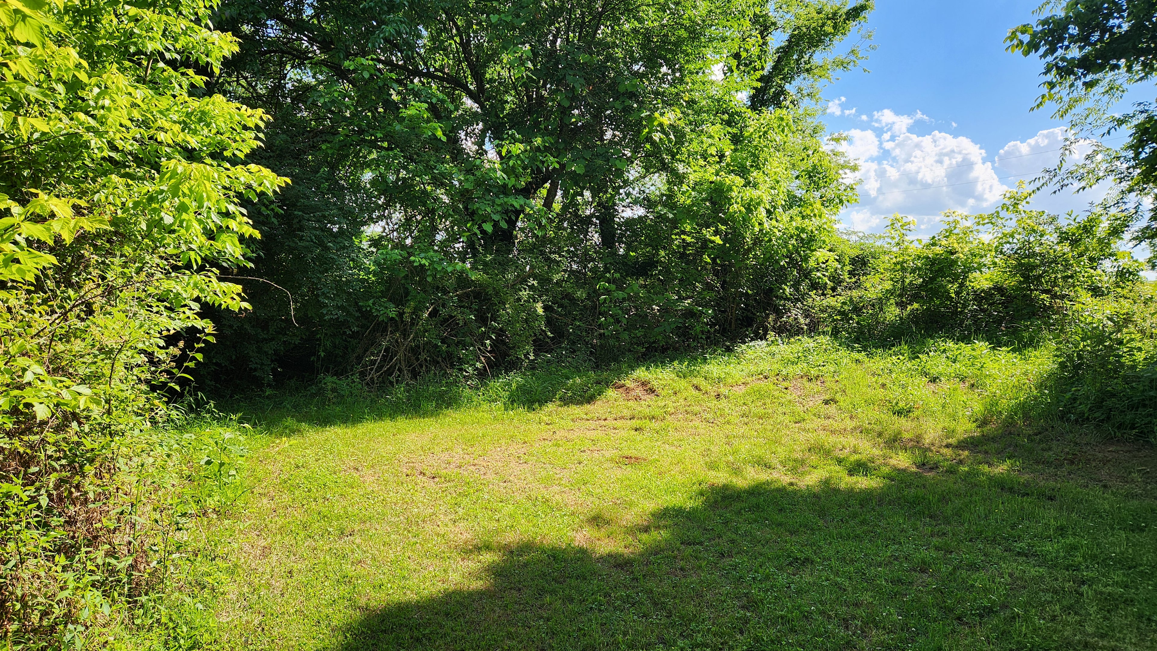 Here is your tent spot. 