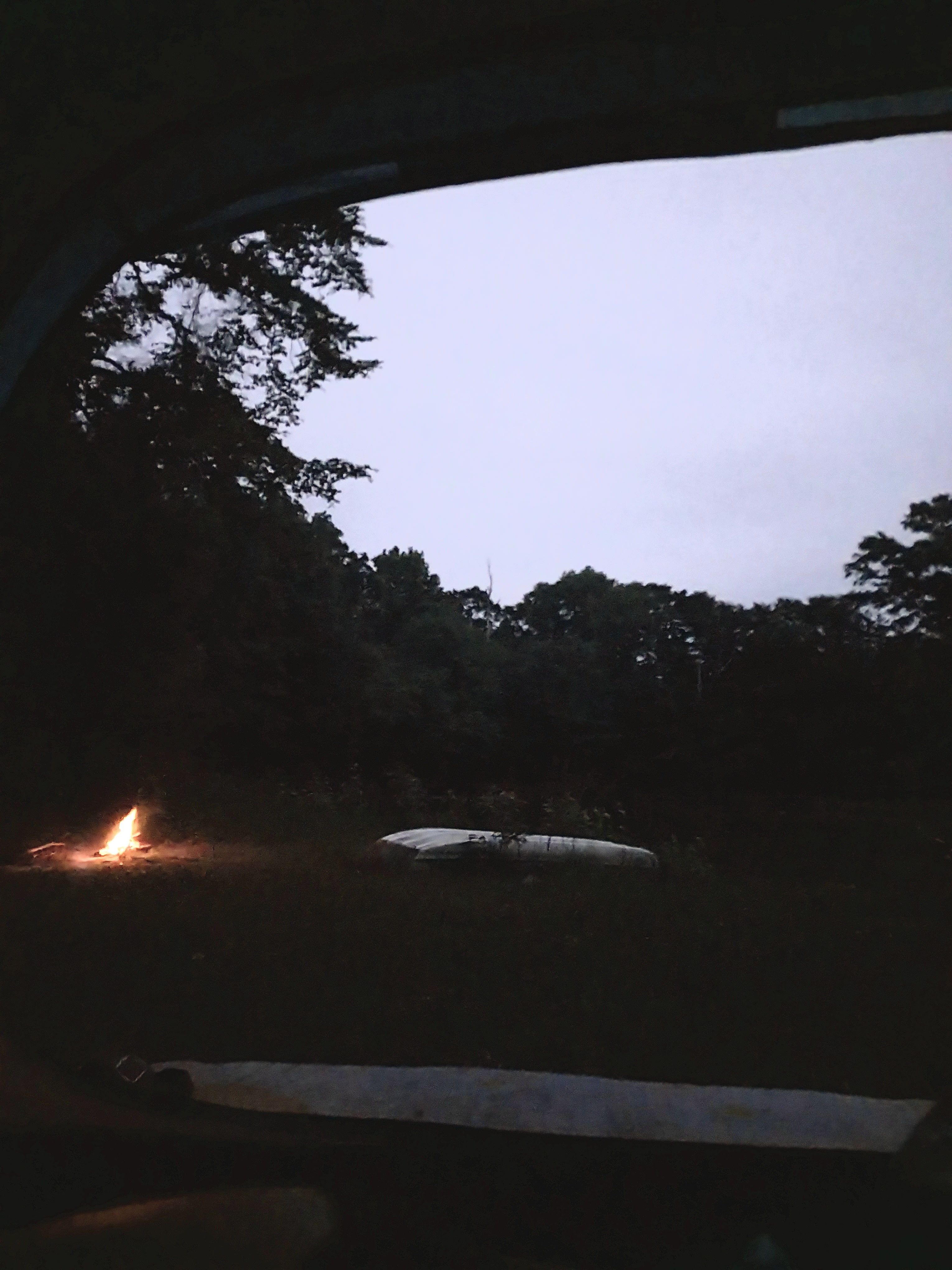 Evening by the pond