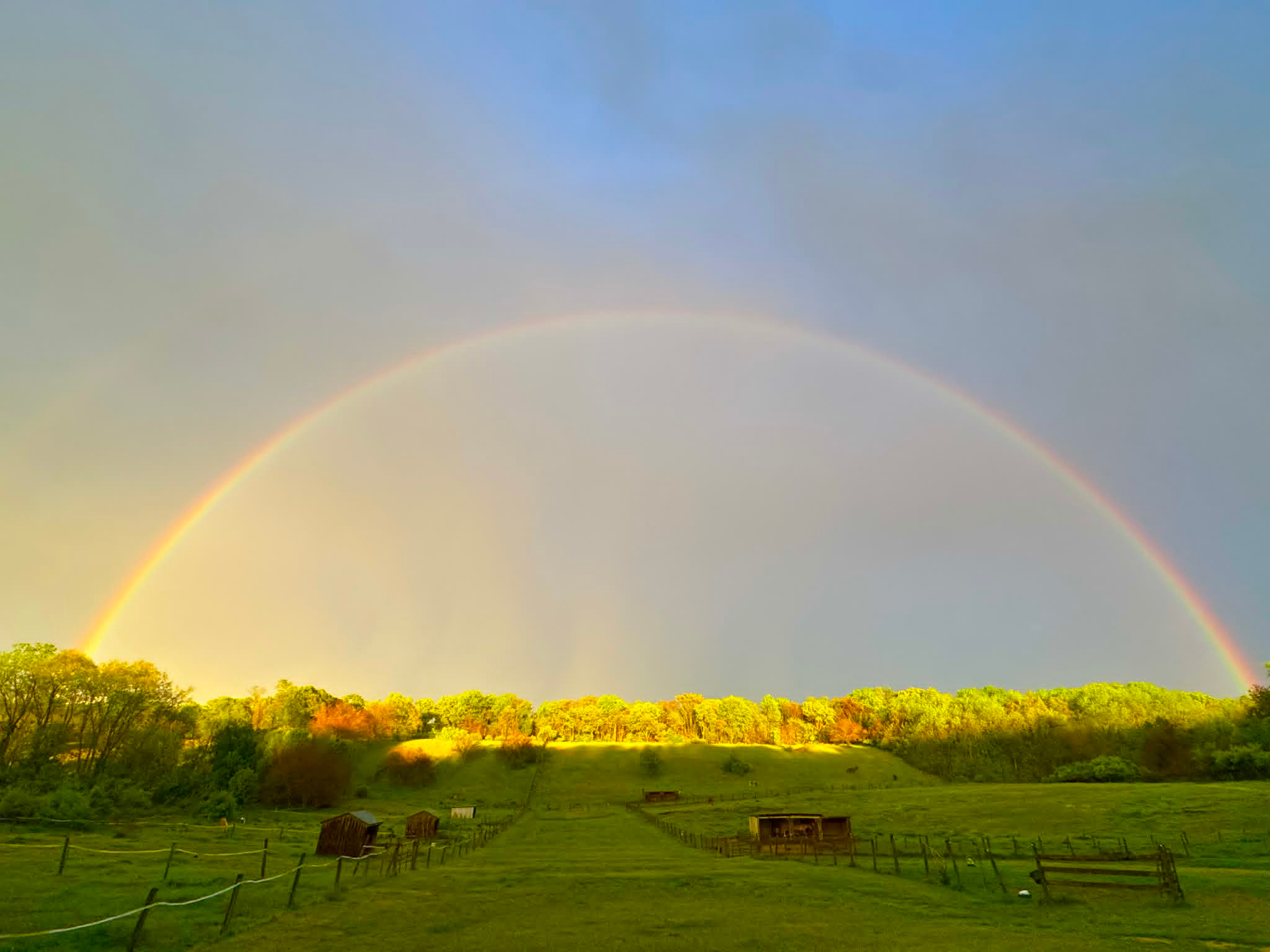 Sienna Rock Stables