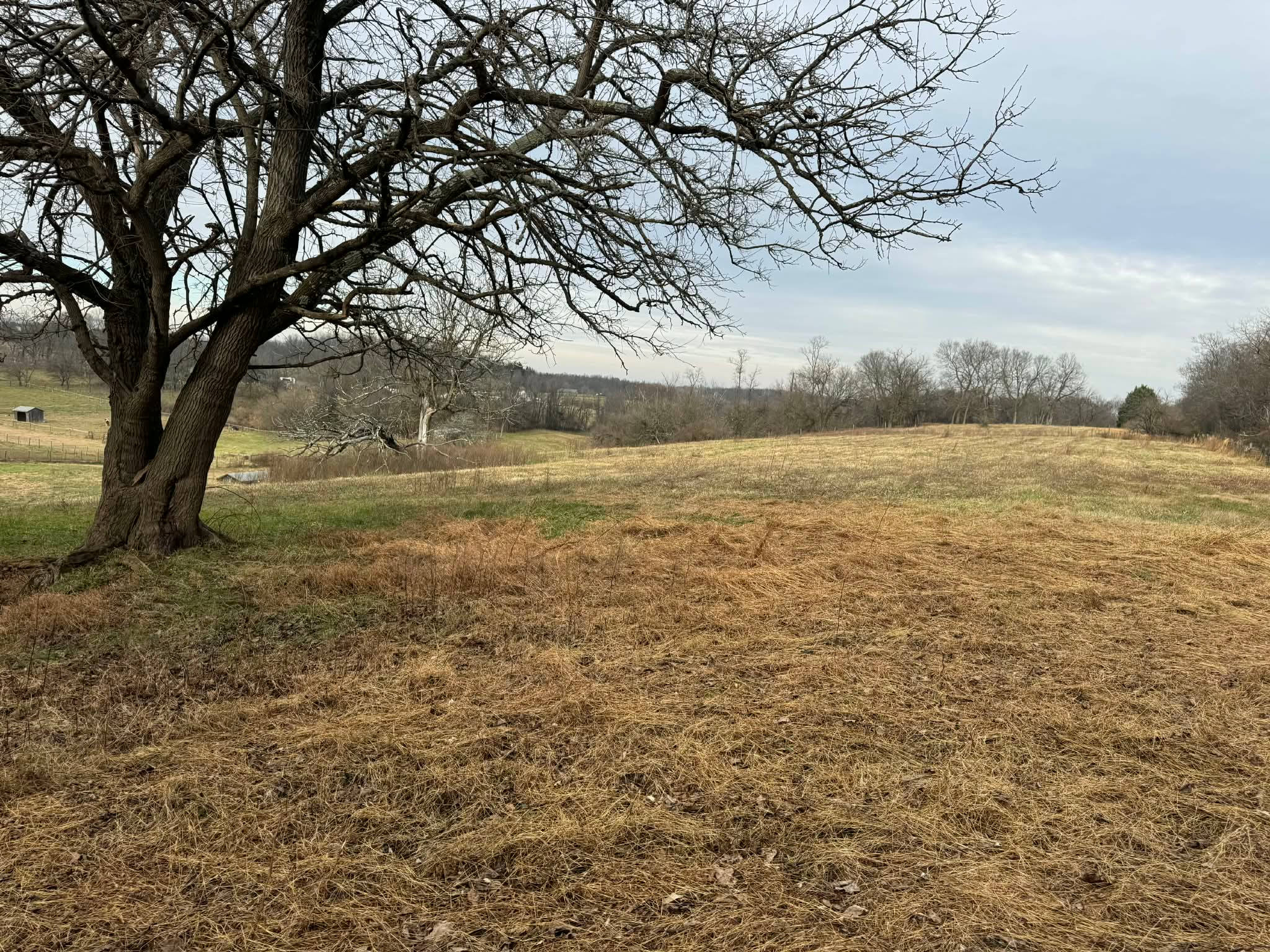 Sienna Rock Stables