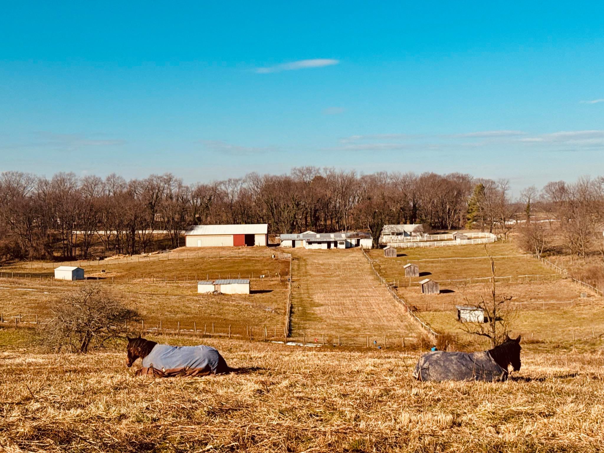 Sienna Rock Stables