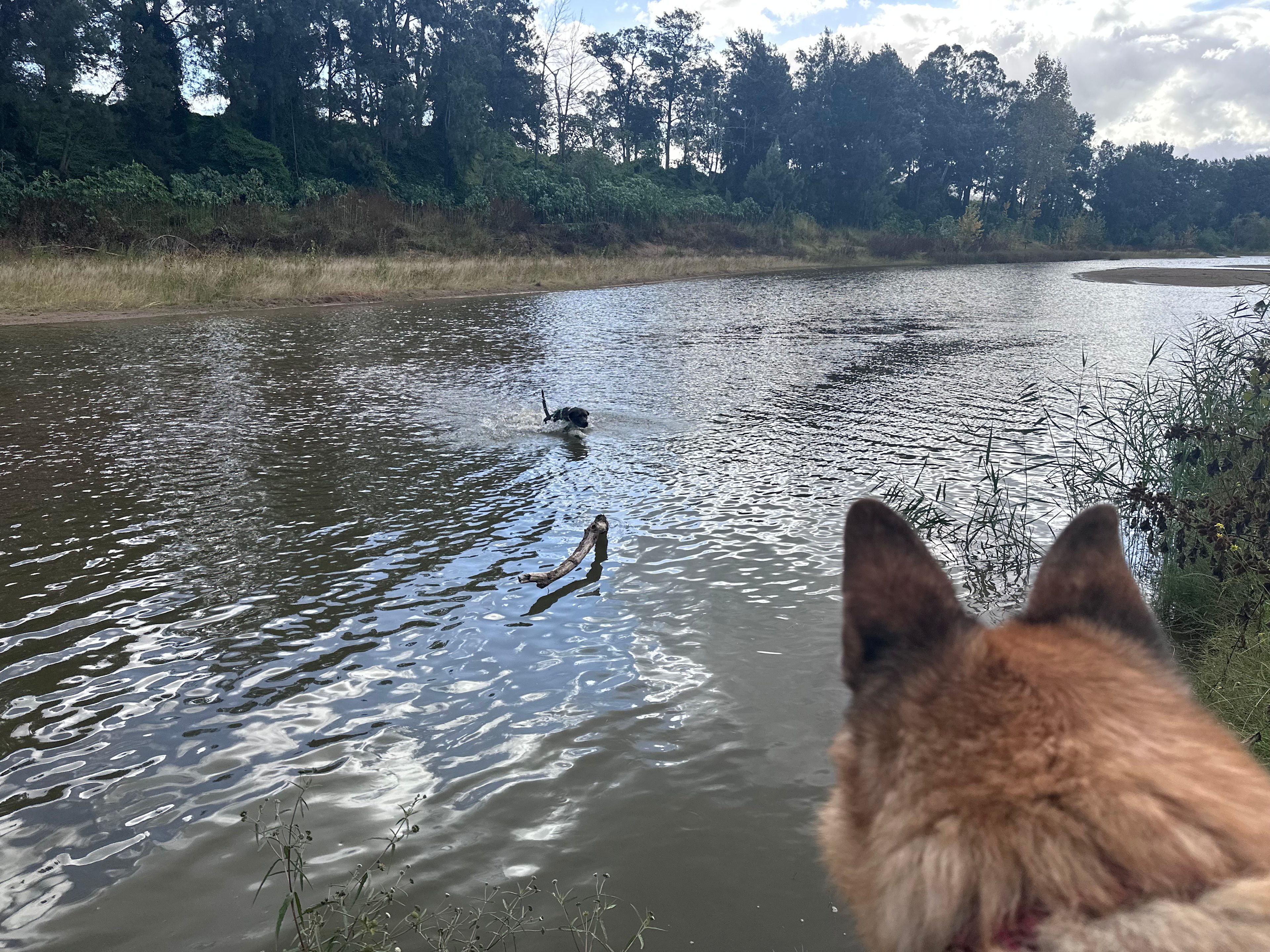 Rosebrook River Camp