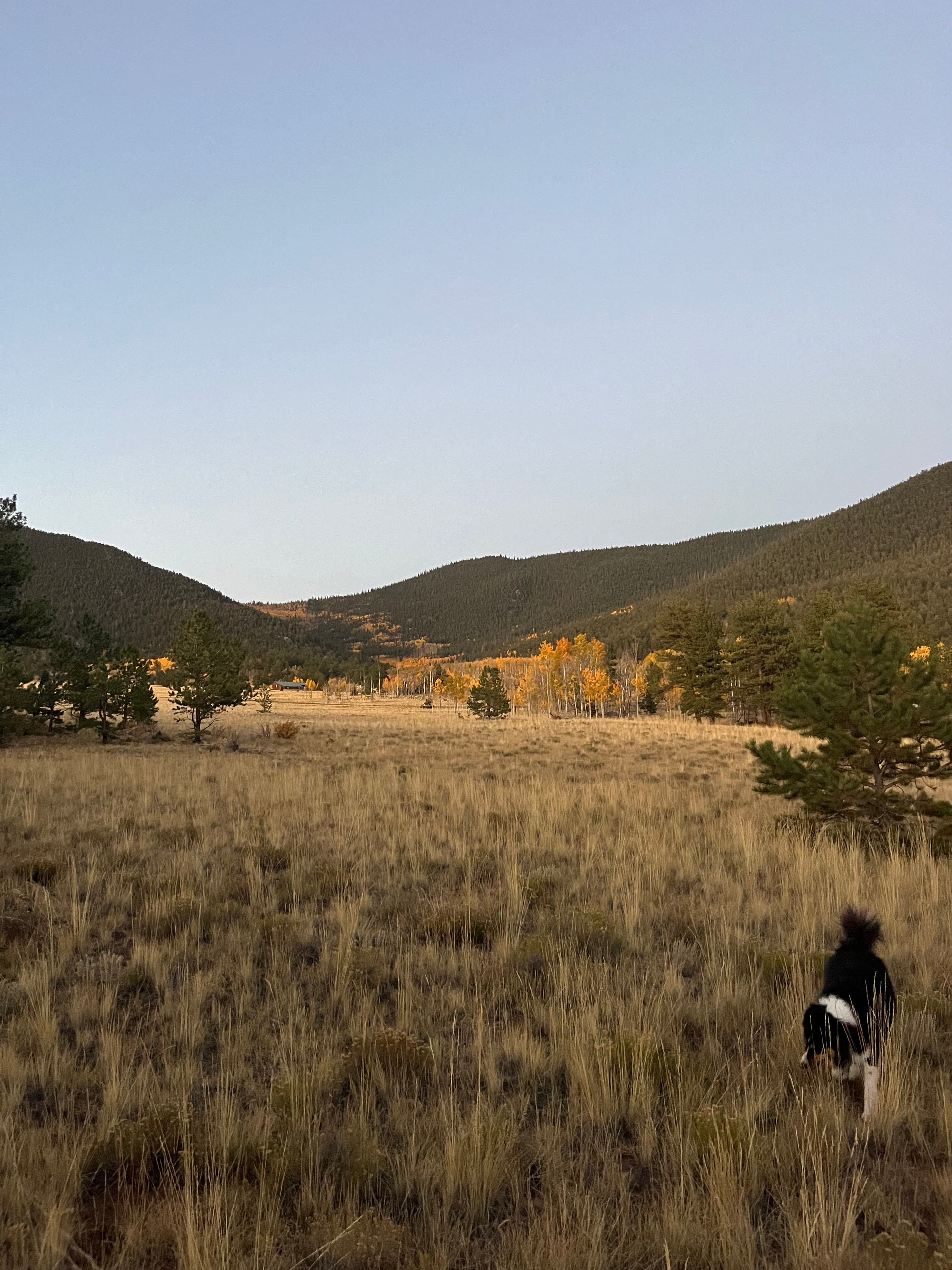 High Country Hideaway