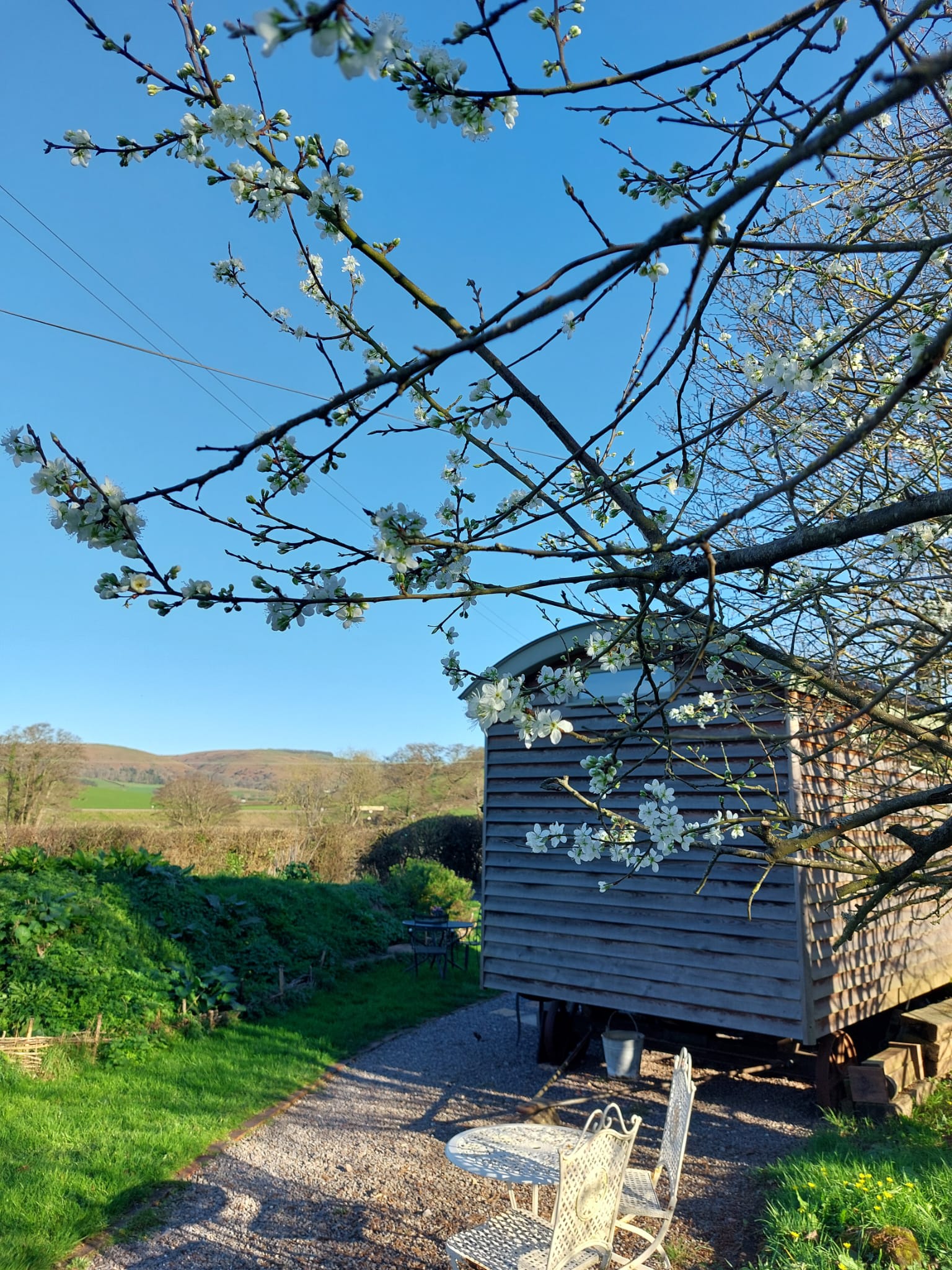 Steam and Stars Luxury Glamping