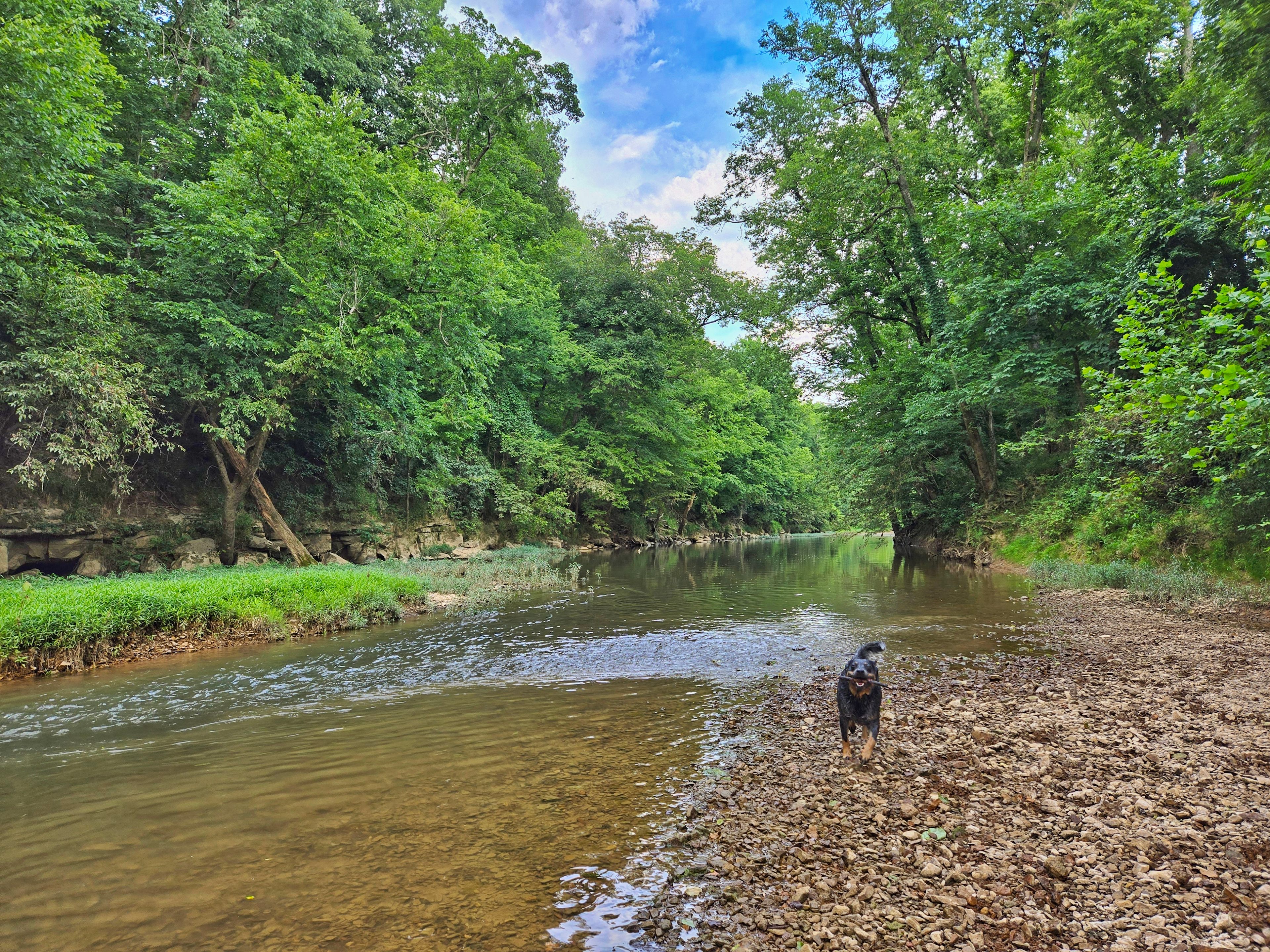Old Martinsville Trail Camp