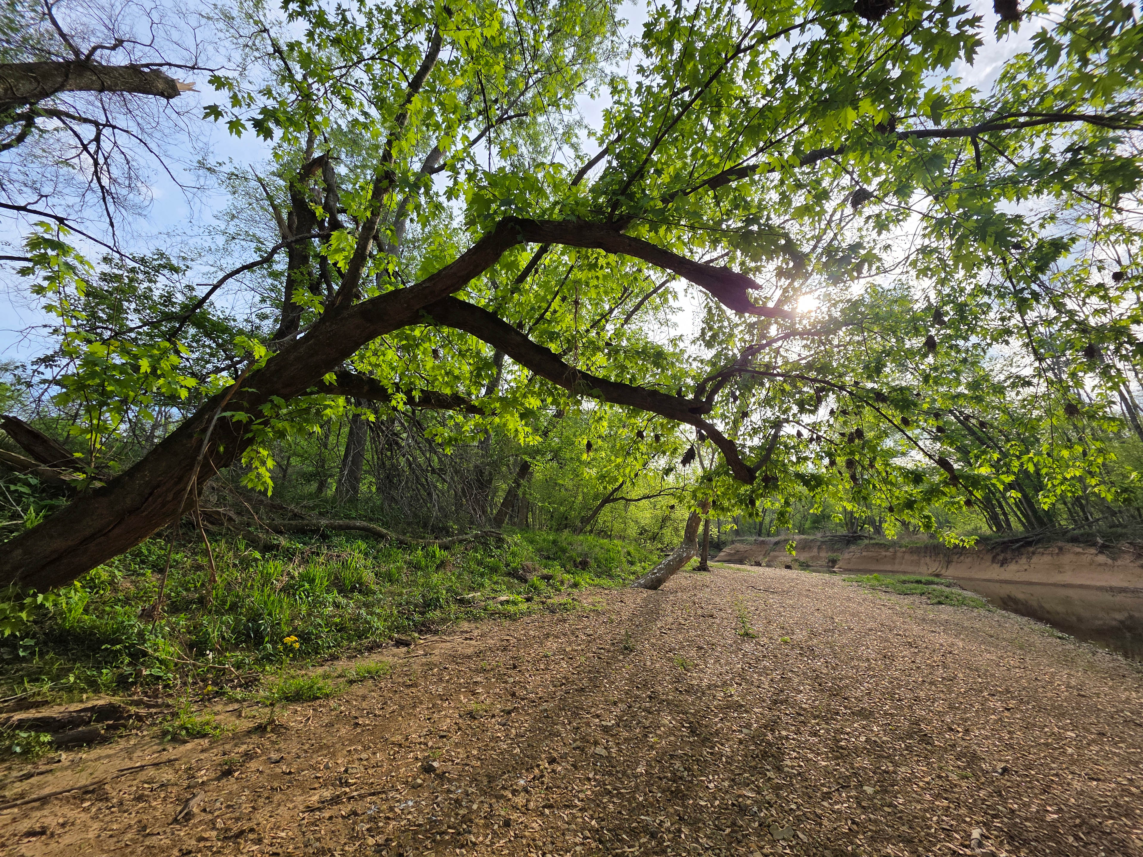 Old Martinsville Trail Camp