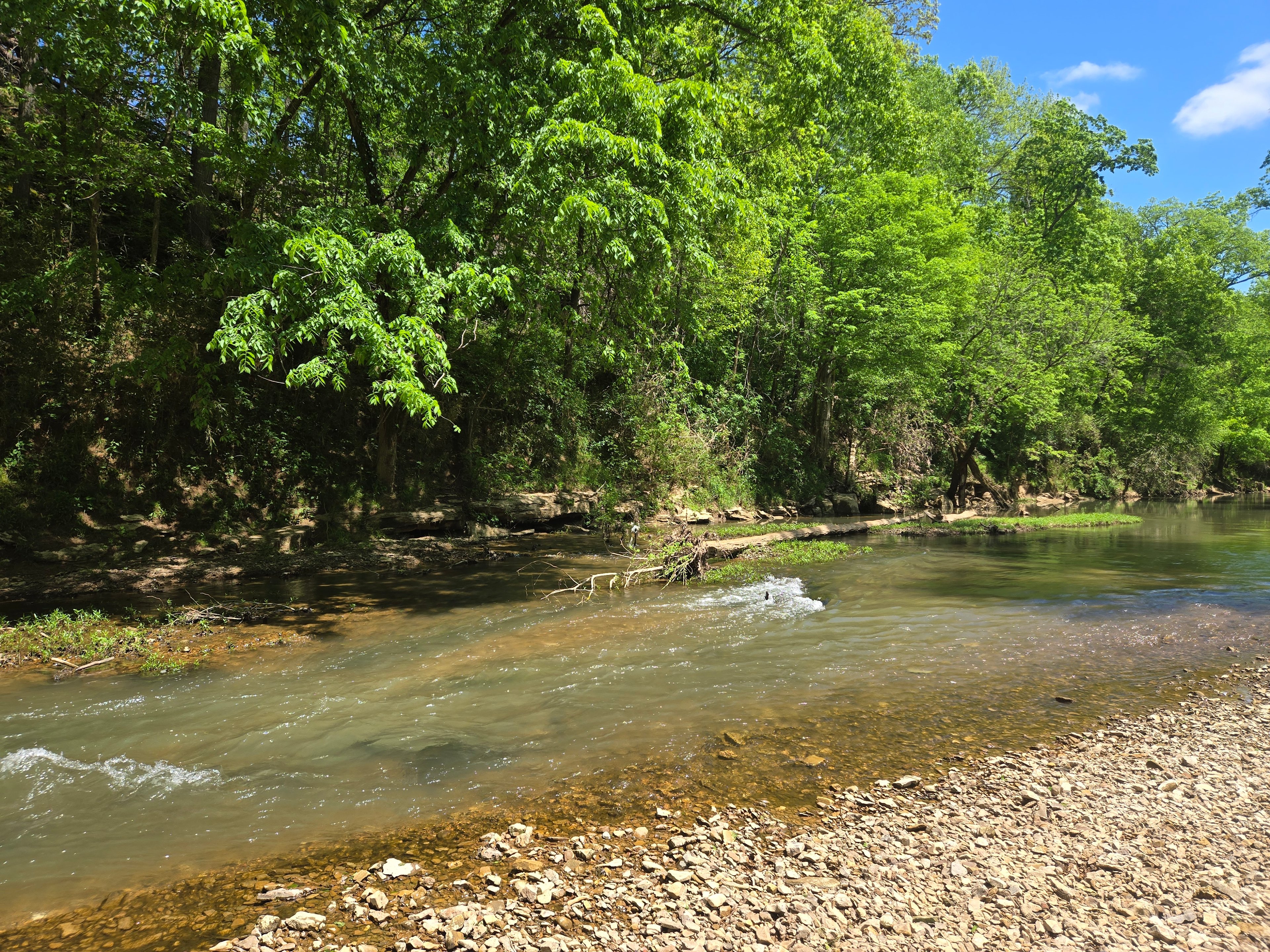 Old Martinsville Trail Camp