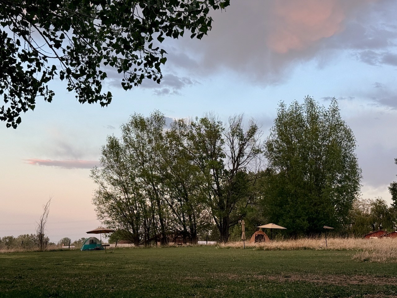 Boulder Chicken Ranch