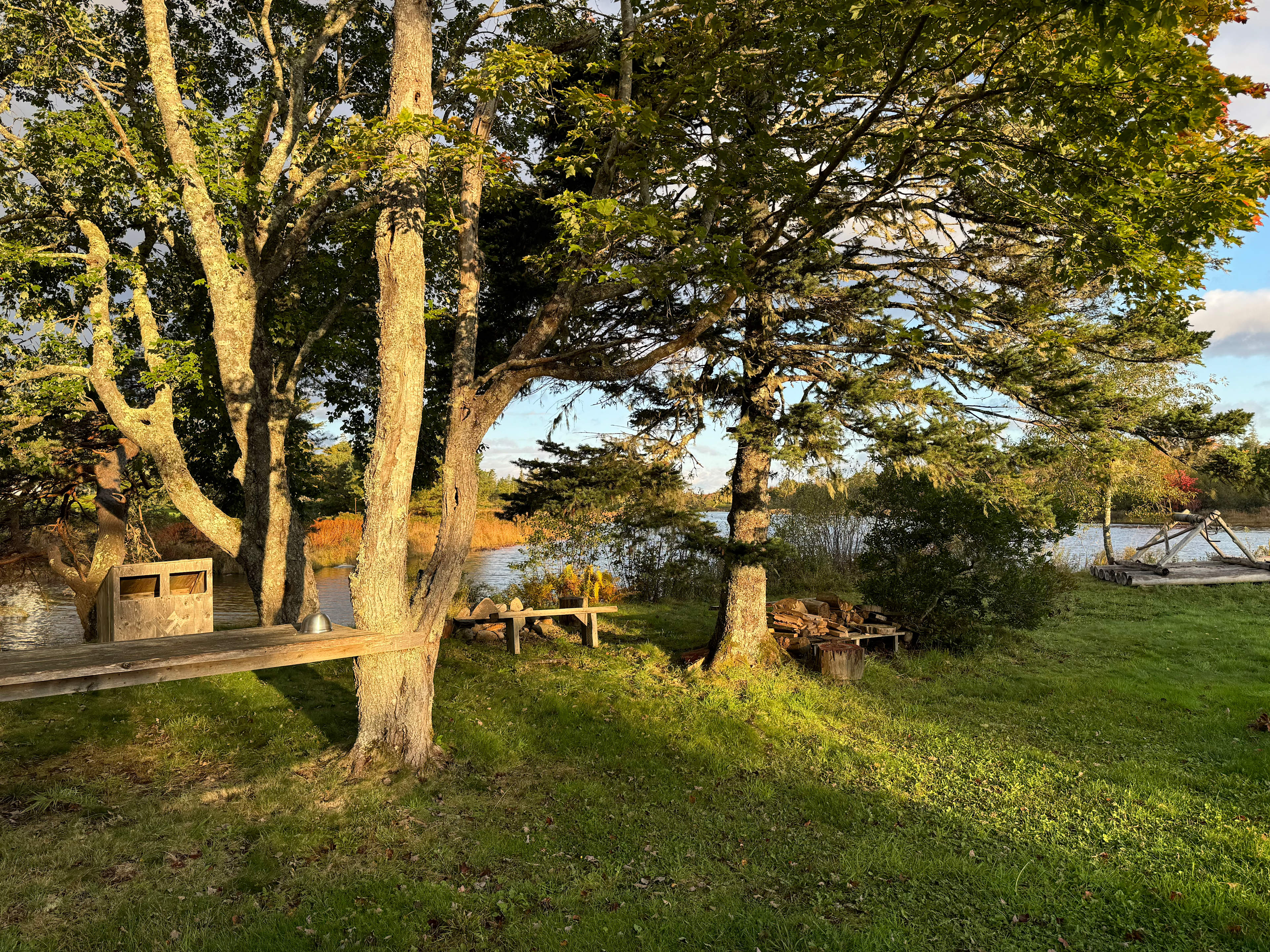 Wild Axe Park