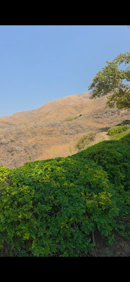 Highland California