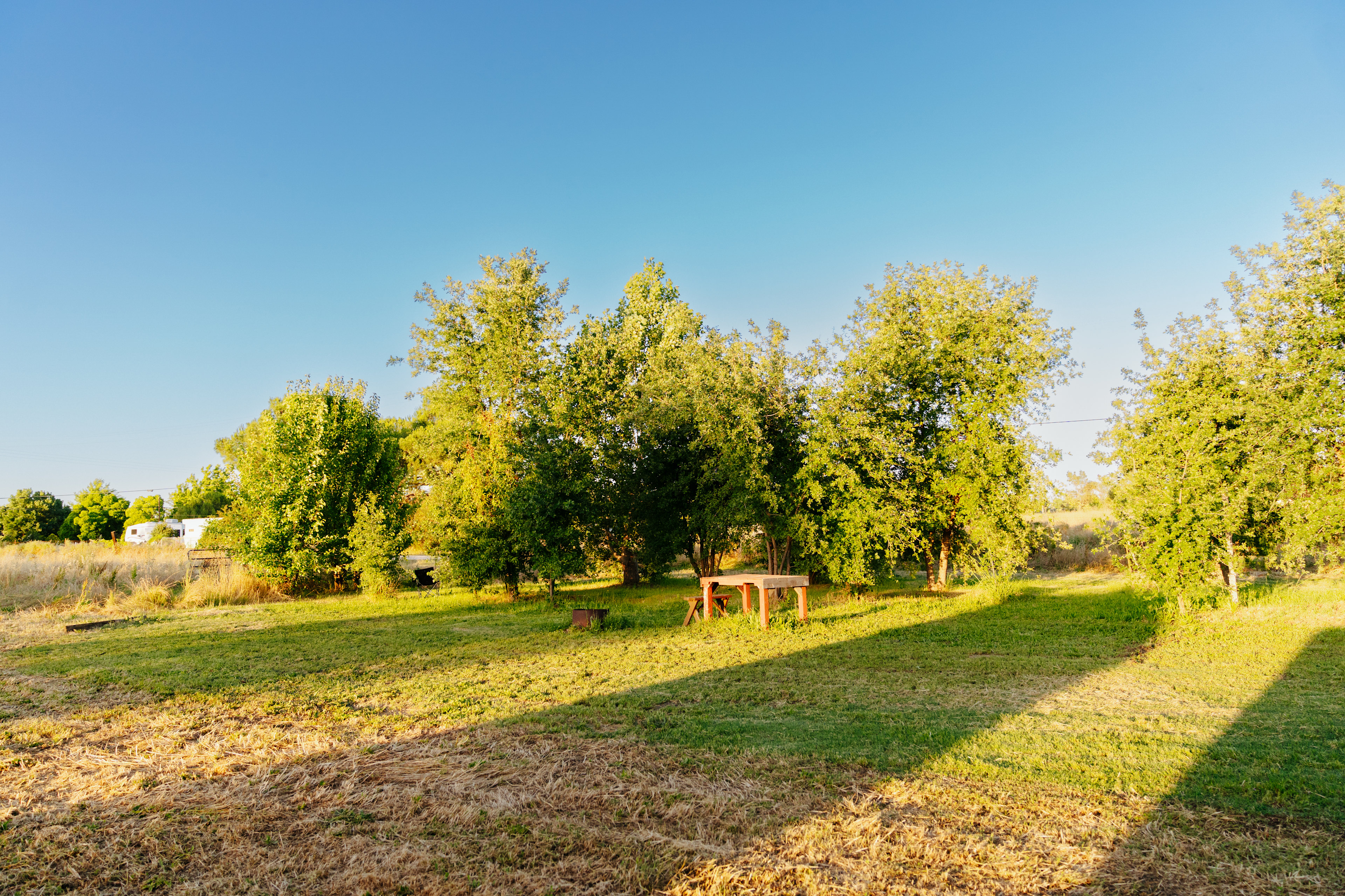 The Foxes  Family Farm