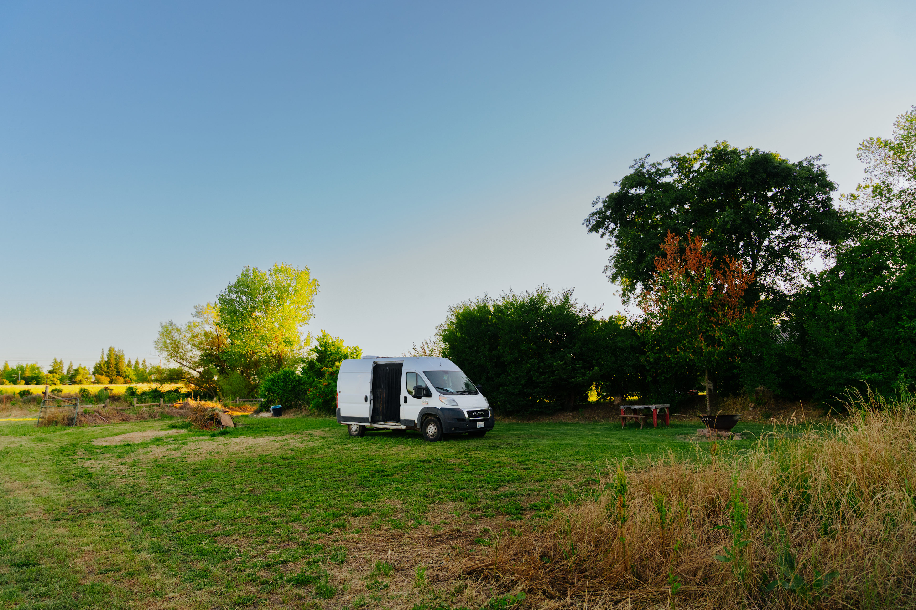 The Foxes  Family Farm