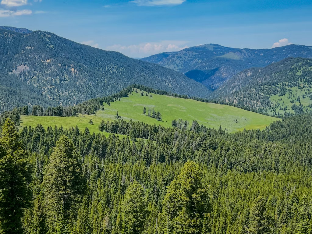 Gallatin Canyon Camp