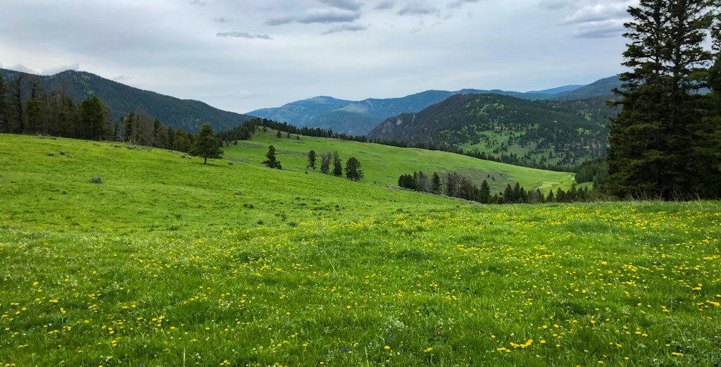 Gallatin Canyon Camp