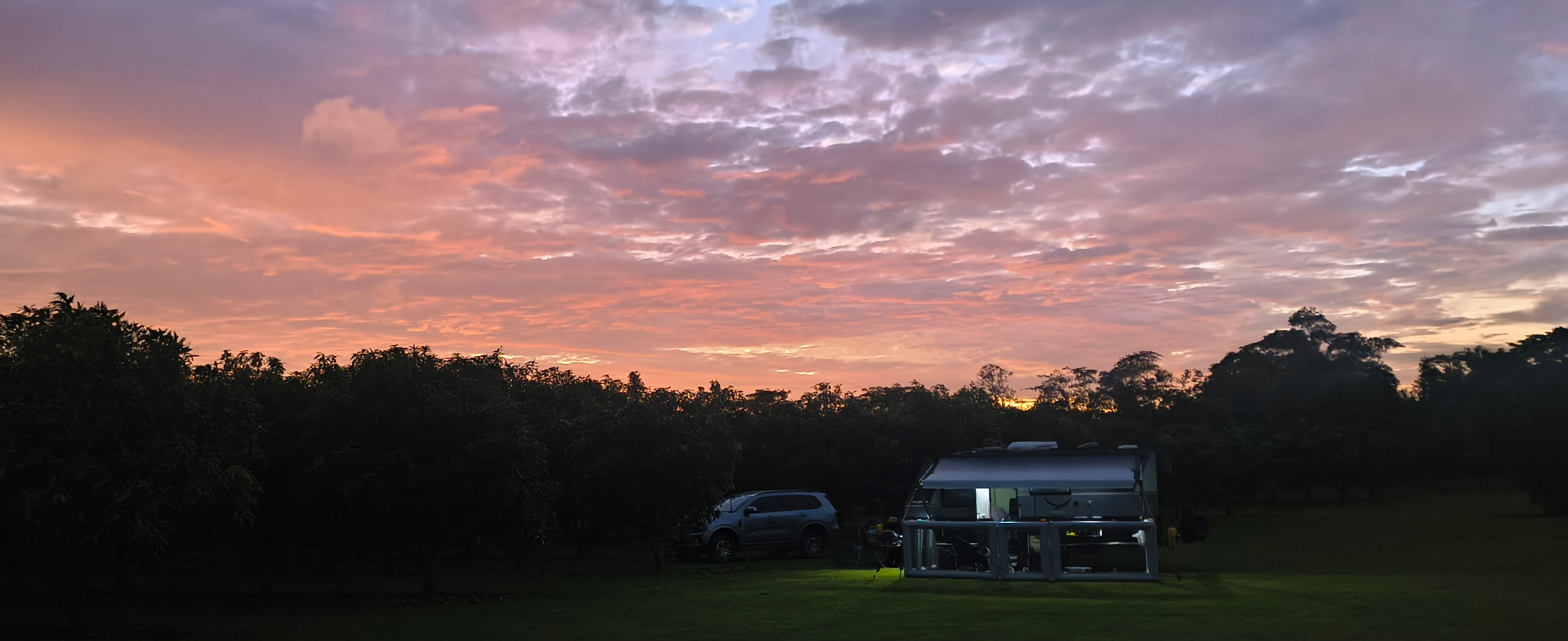 Sunrise over the mangos taken from the road. 