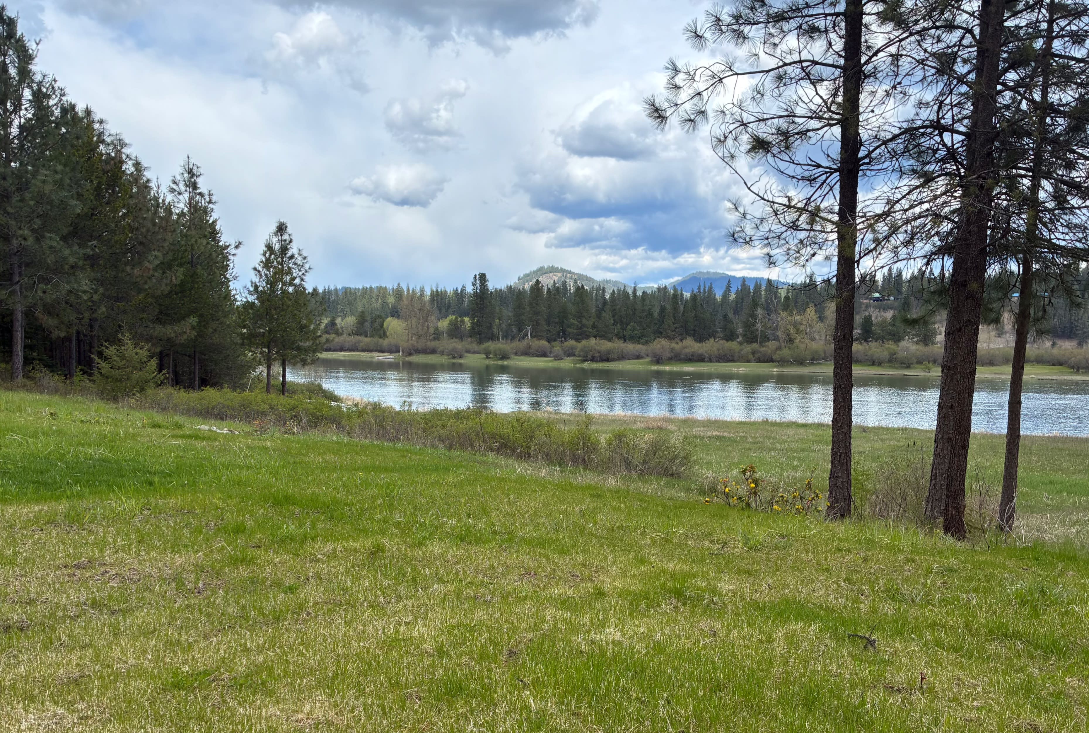 Meadow by the River