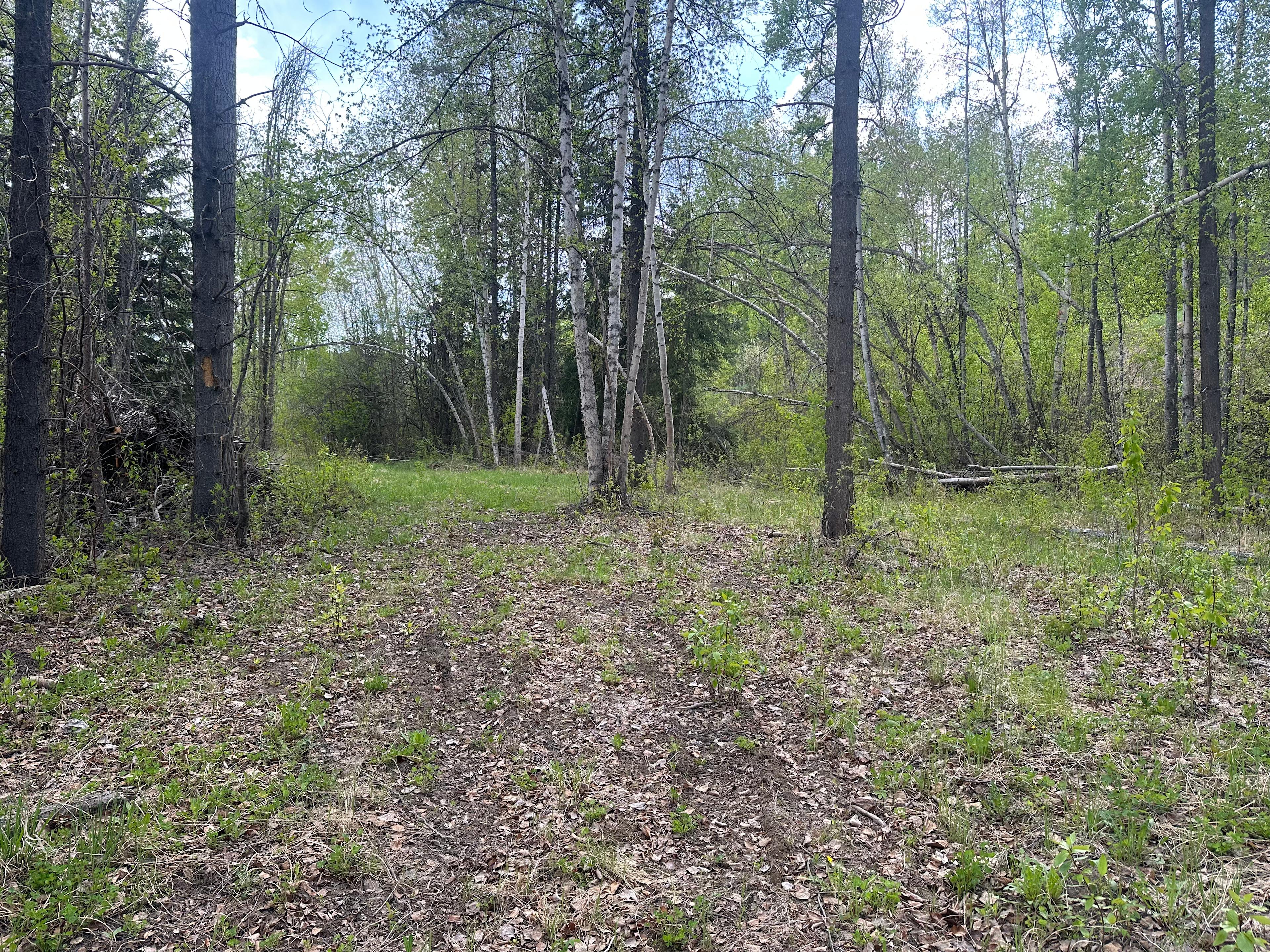 The Hole