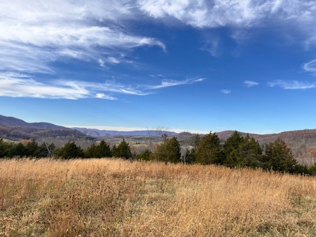 Wolf Creek Preserve