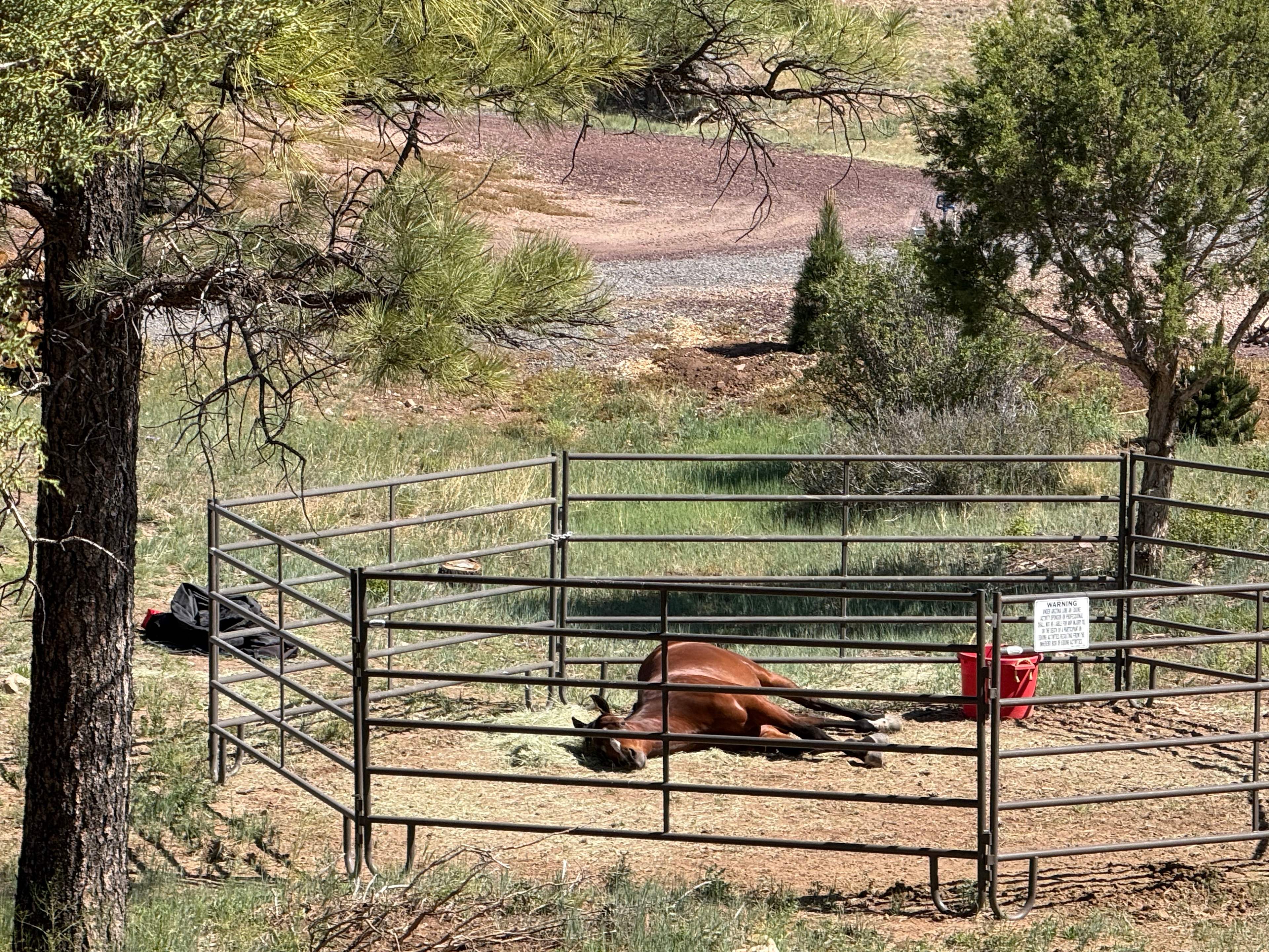 Horse friendly campsites