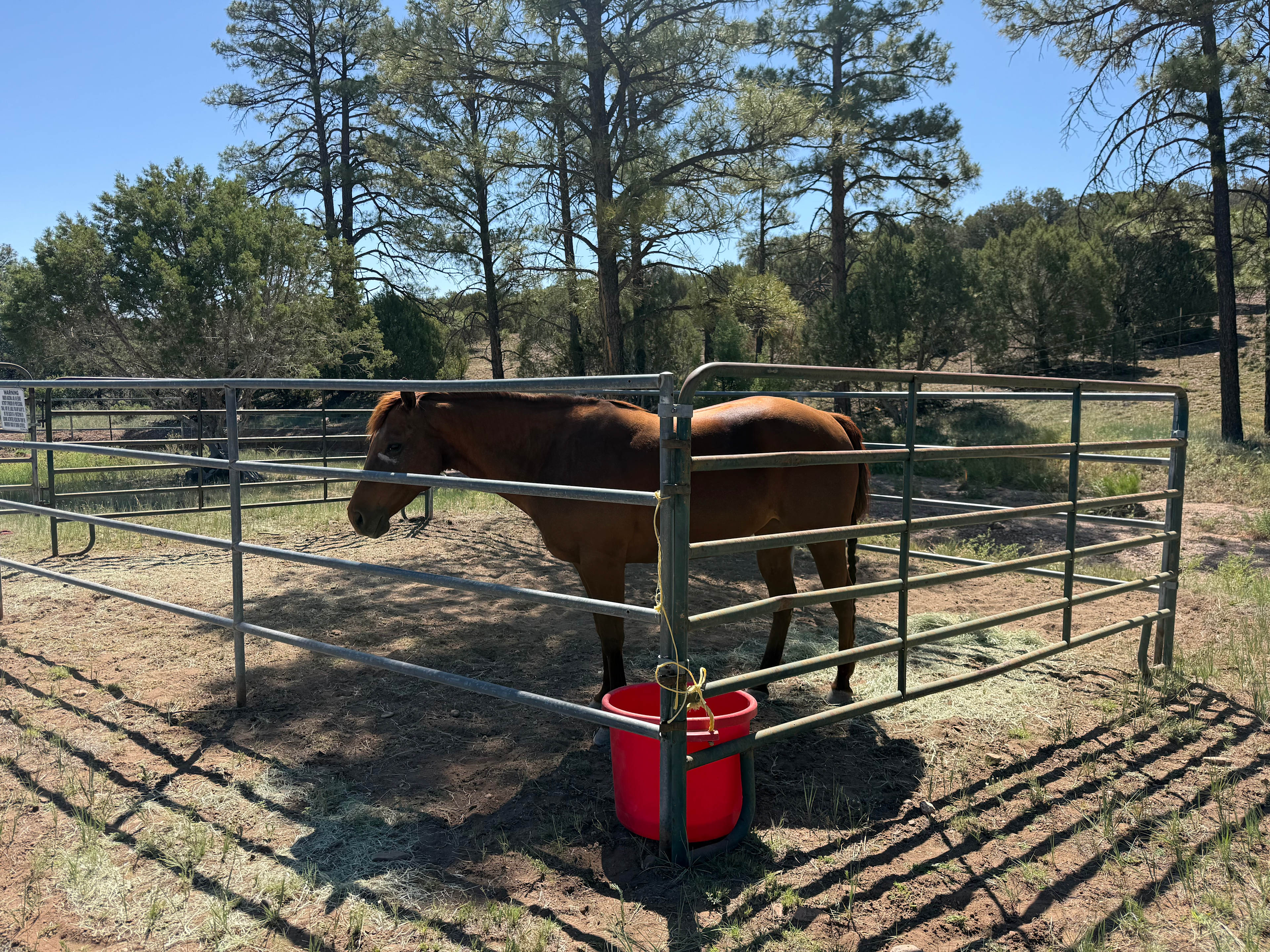 Horse friendly campsites