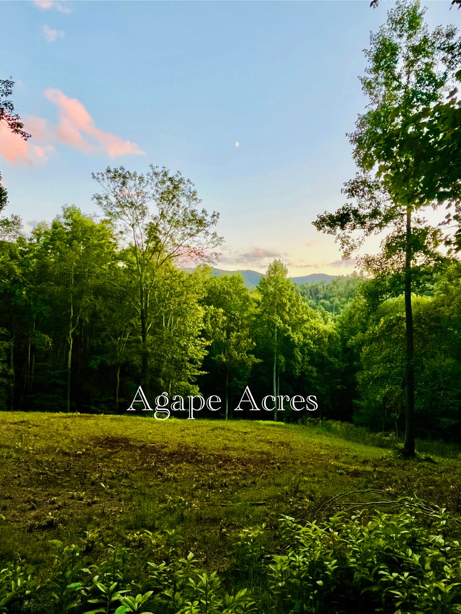 Agape Acres