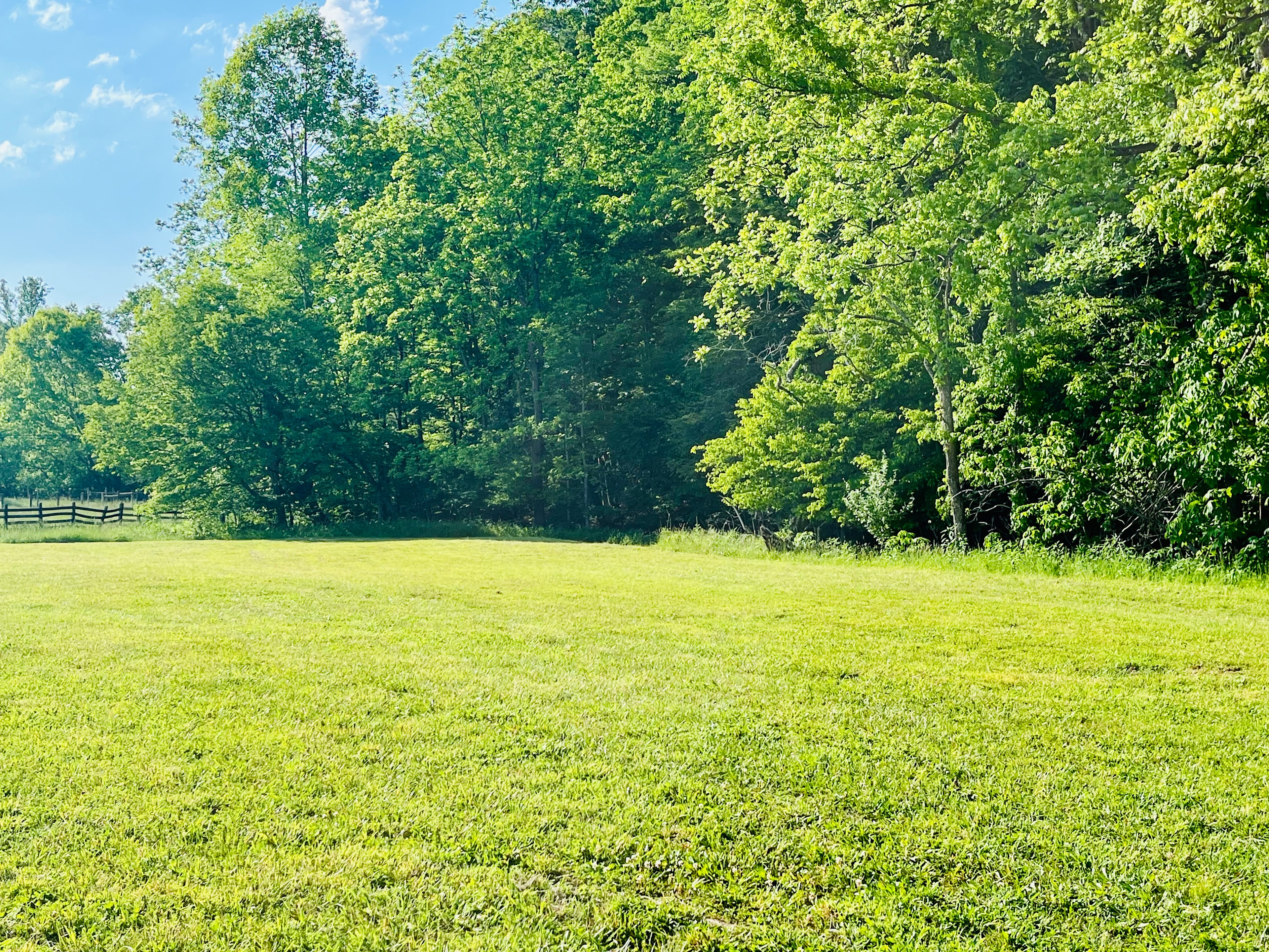 Flat area with back road frontage. Easily accessible for RVs, pop-ups or tent camping. Very low traffic area. 