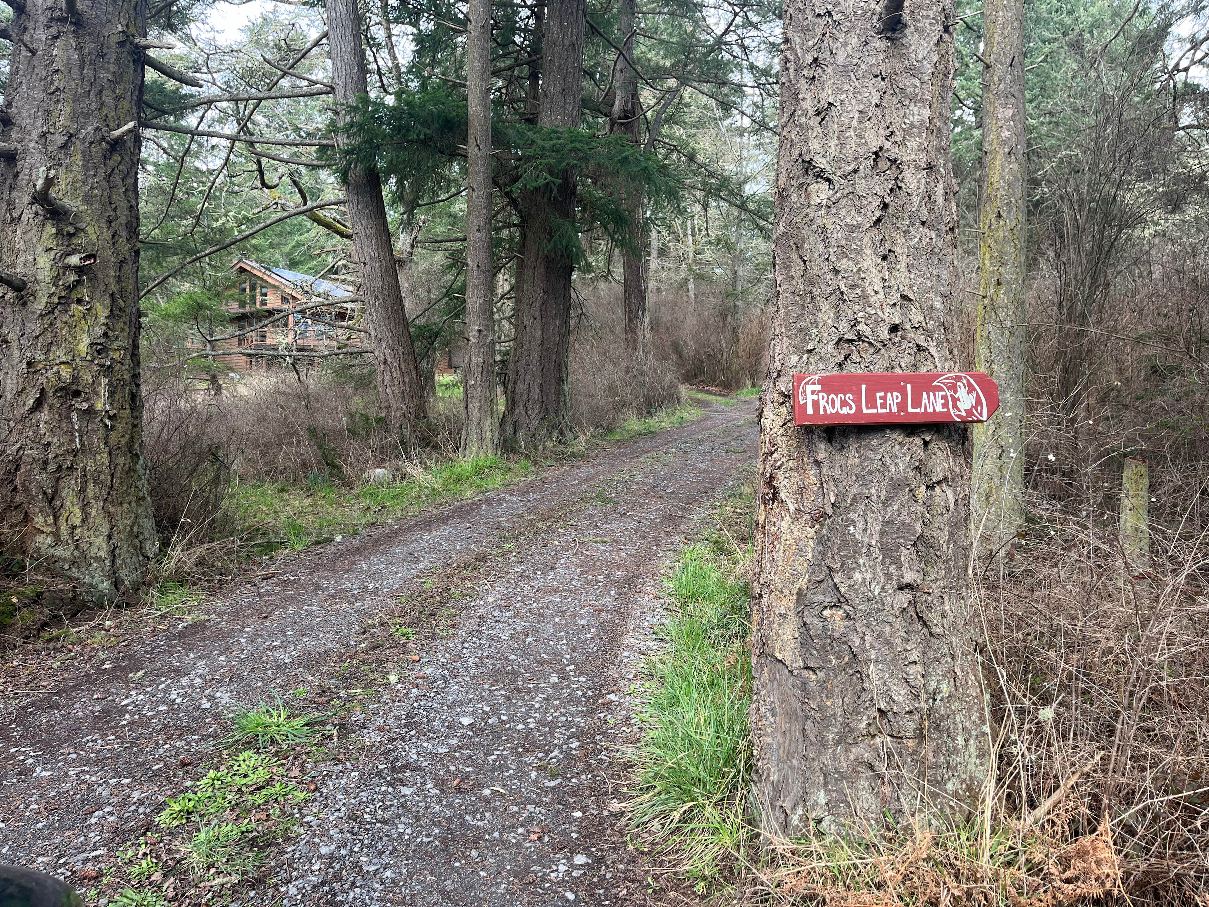 Frog's Leap Lane