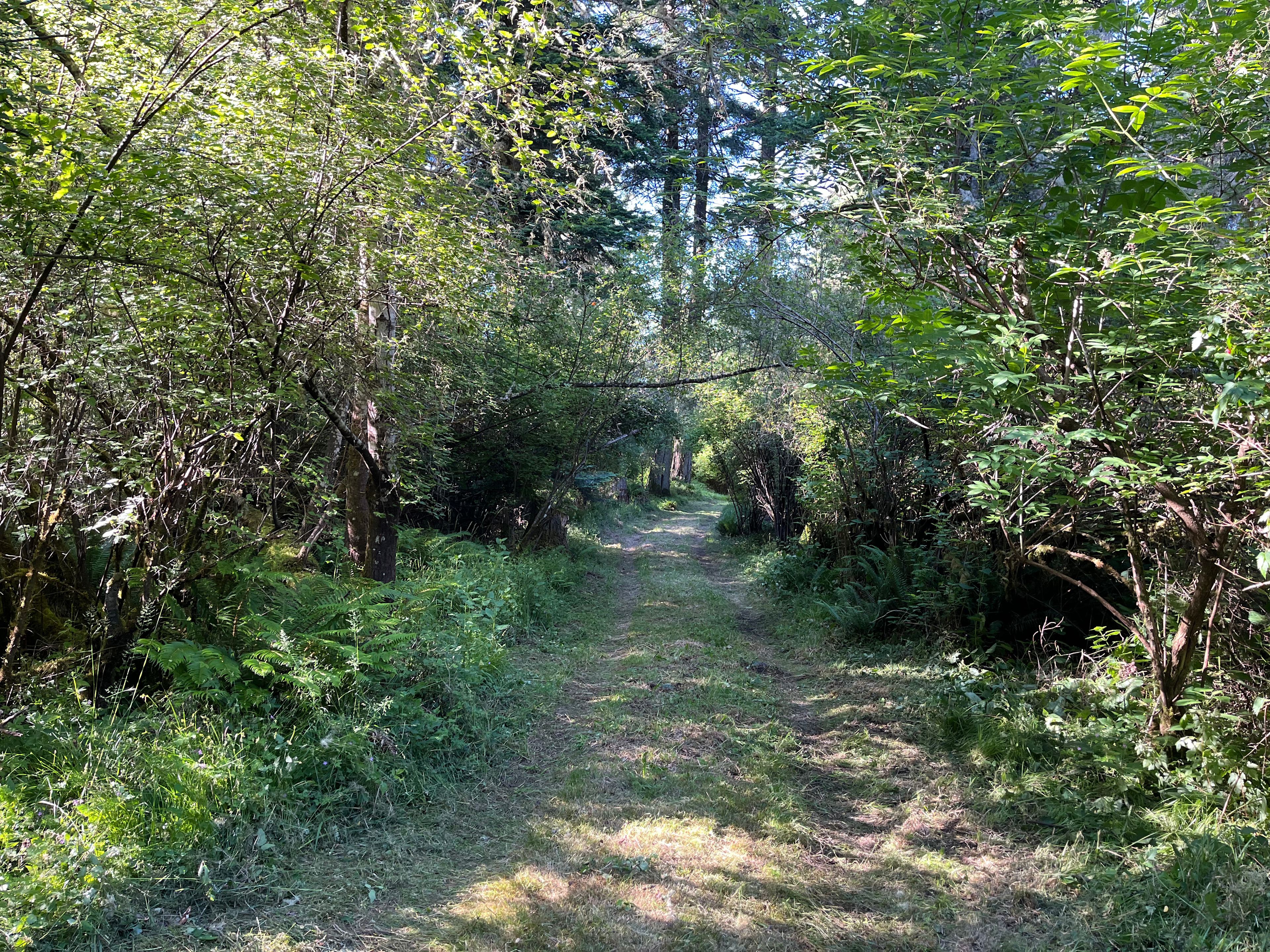 Frog's Leap Lane