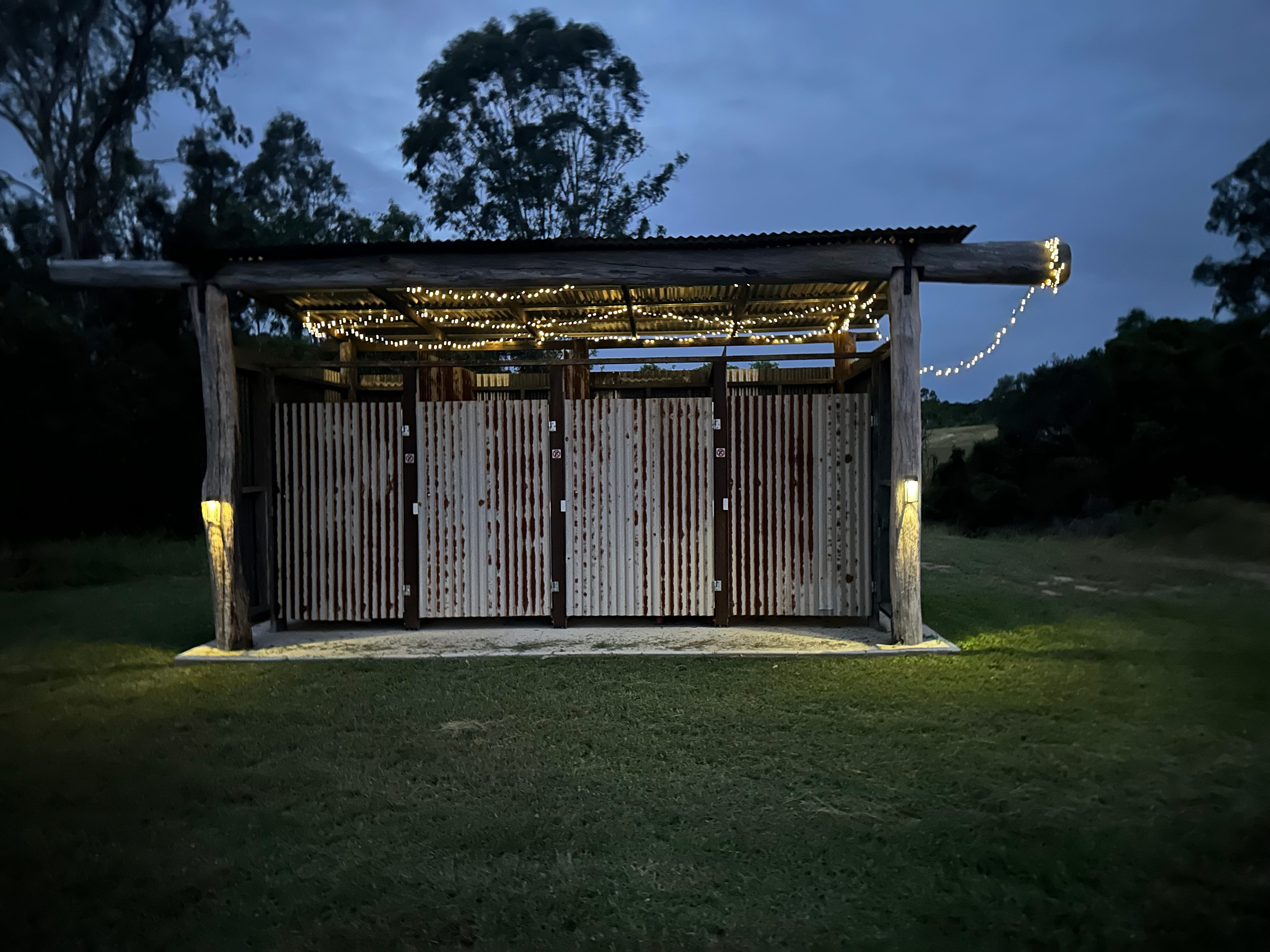 Bush Showers at night 