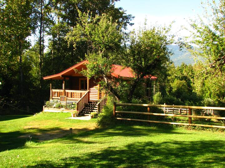 Shadow Mountain Cabins & B&B