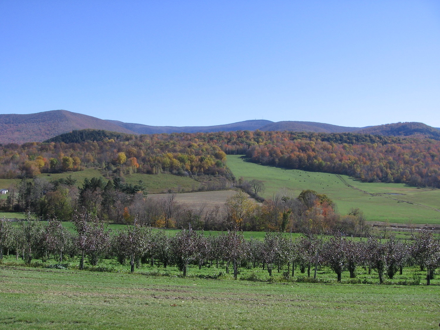 Camp Hart  Farmhouse