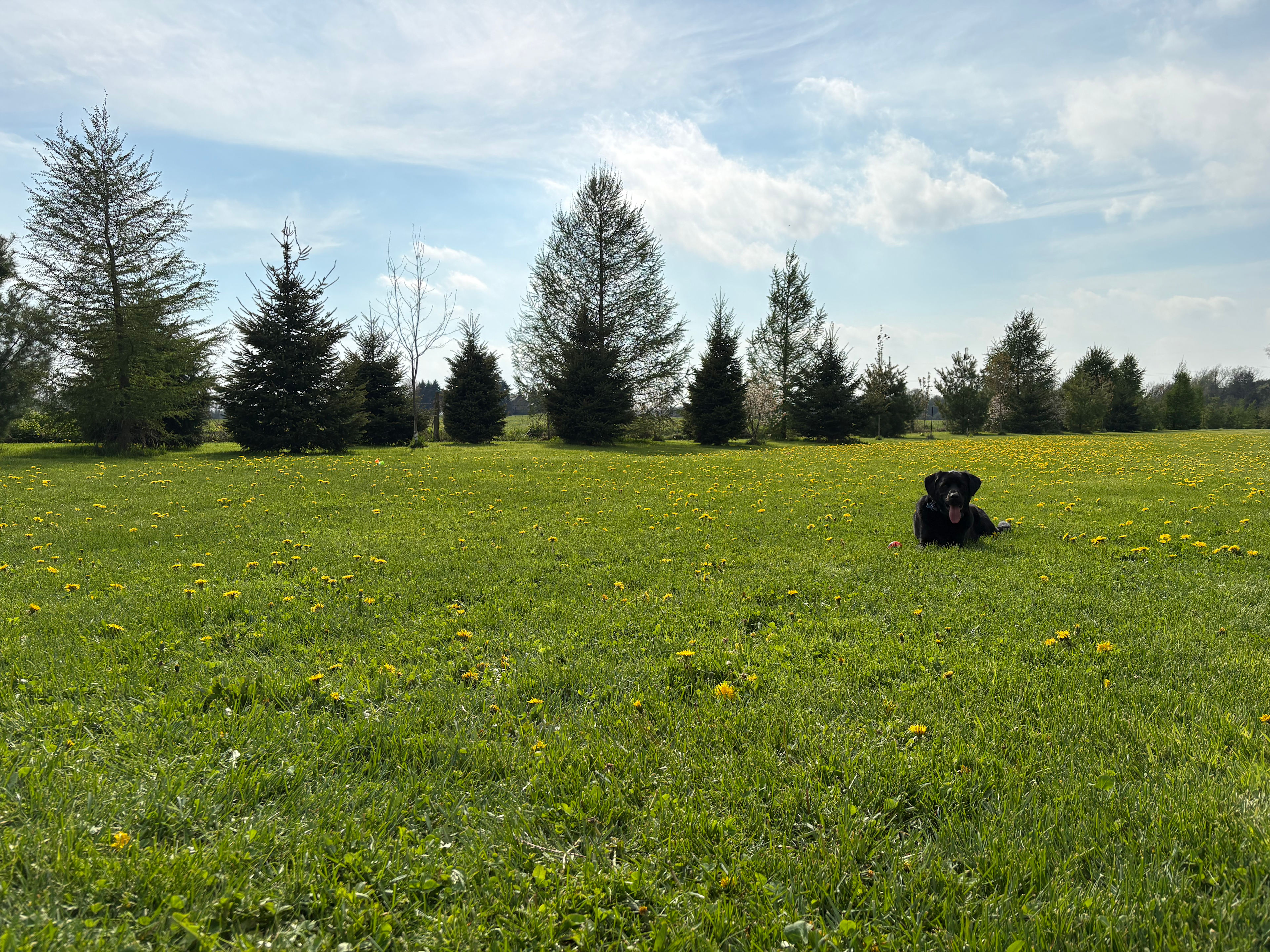 Hidden Oasis Near Elora
