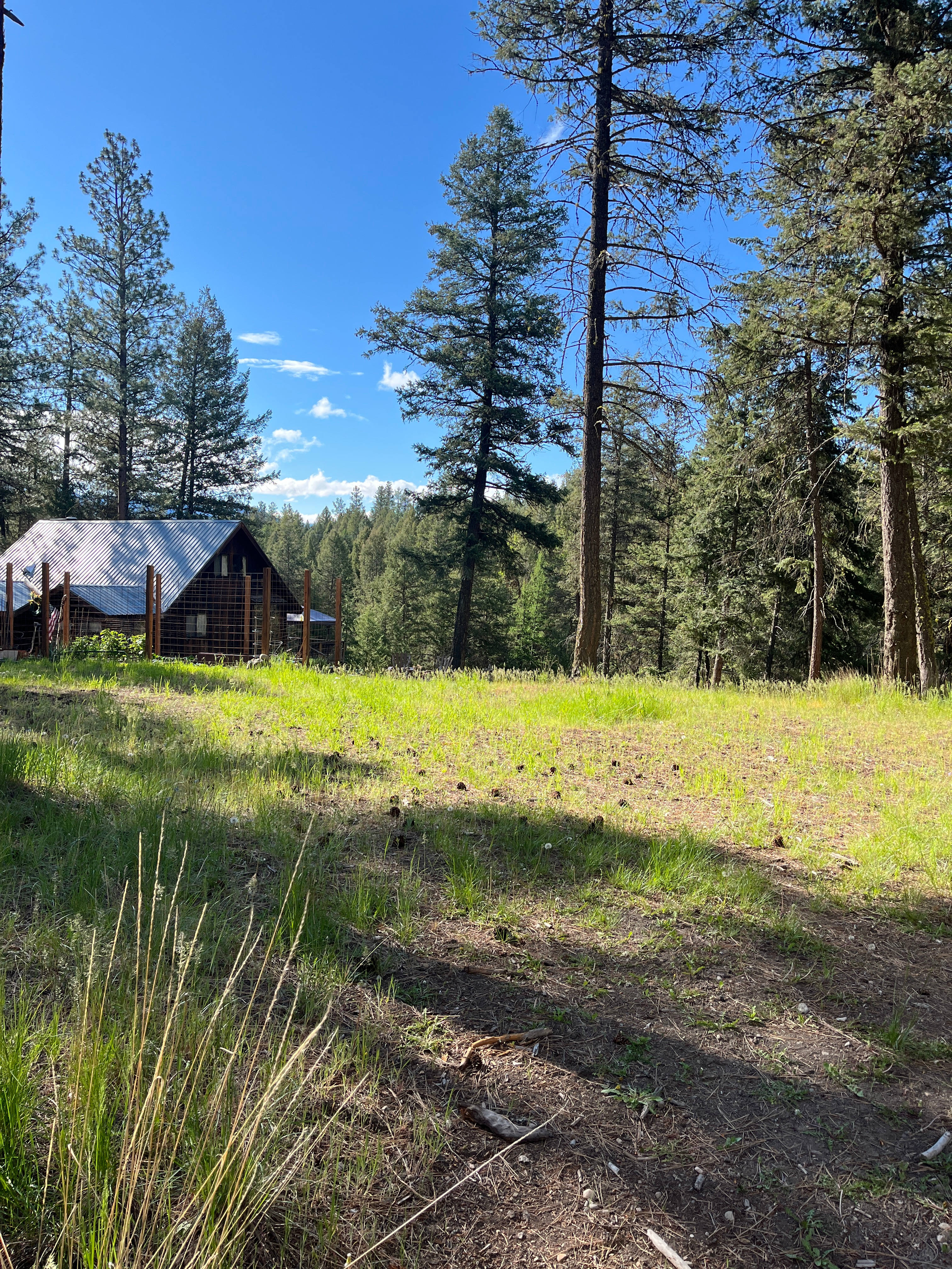 Whitetail Ridge on Trout Creek