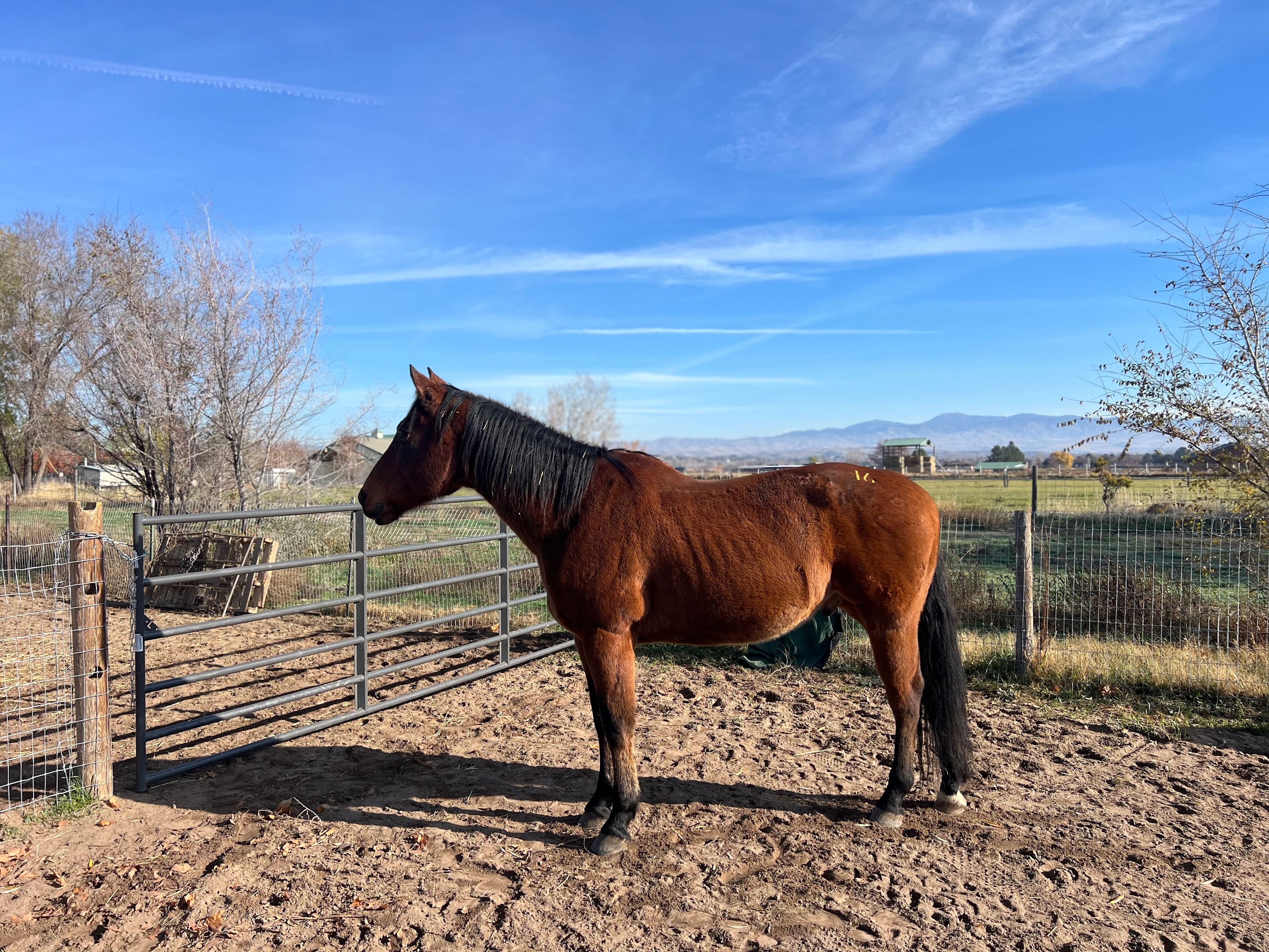 Whiskey Ranch Of Idaho