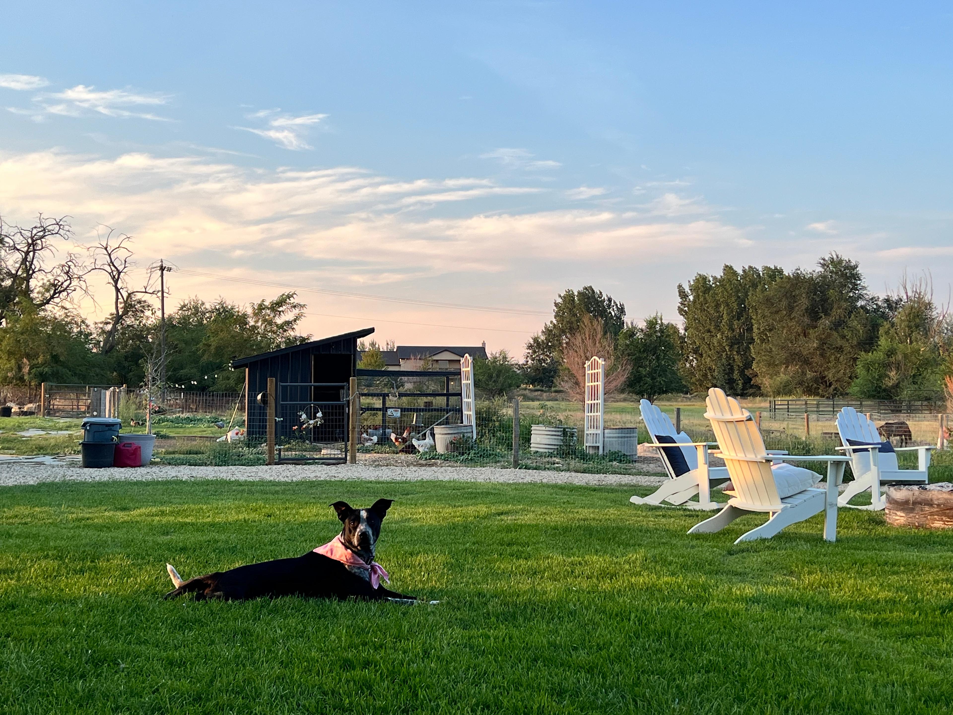 Whiskey Ranch Of Idaho