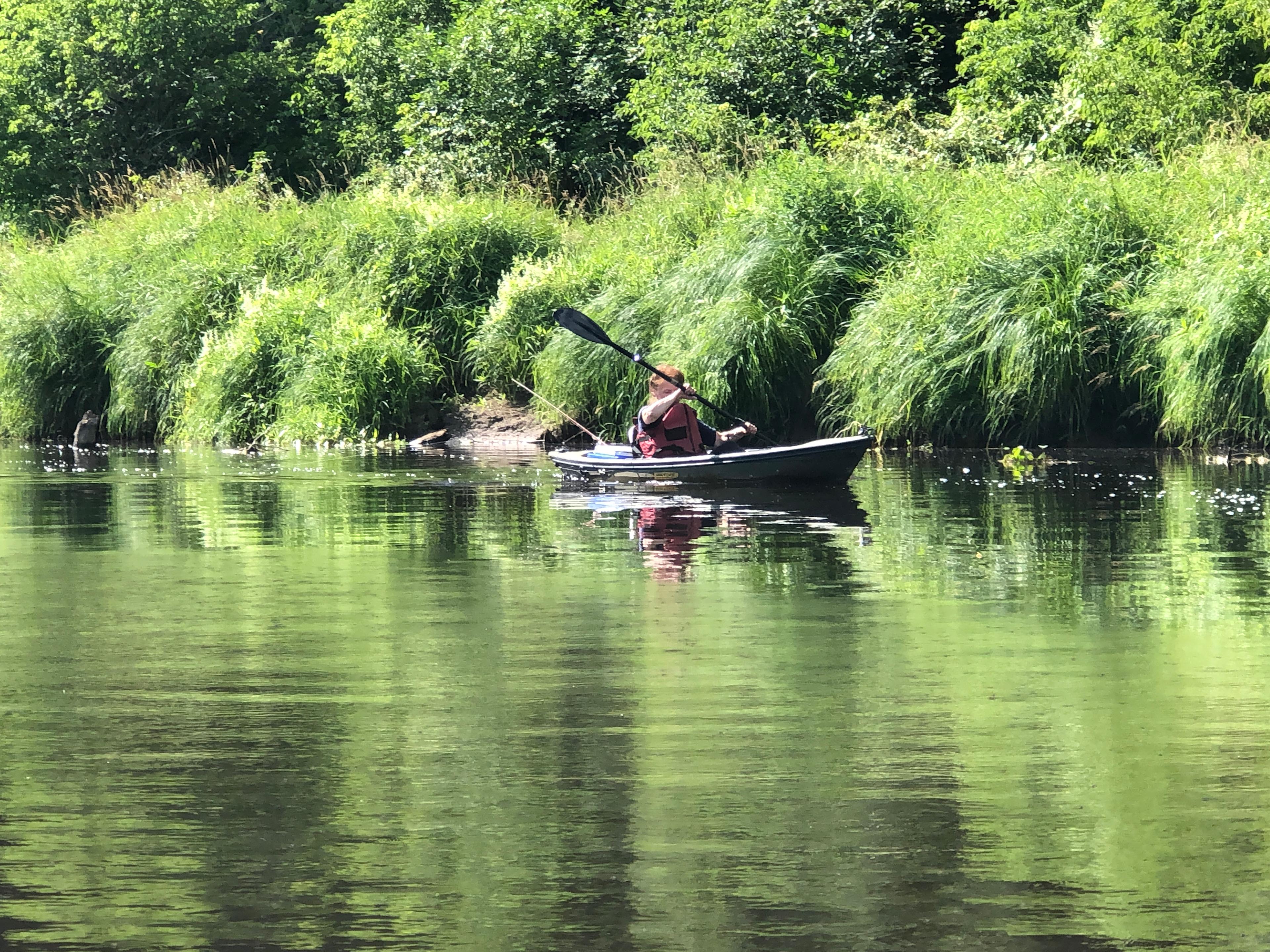 Kingfisher's Bend