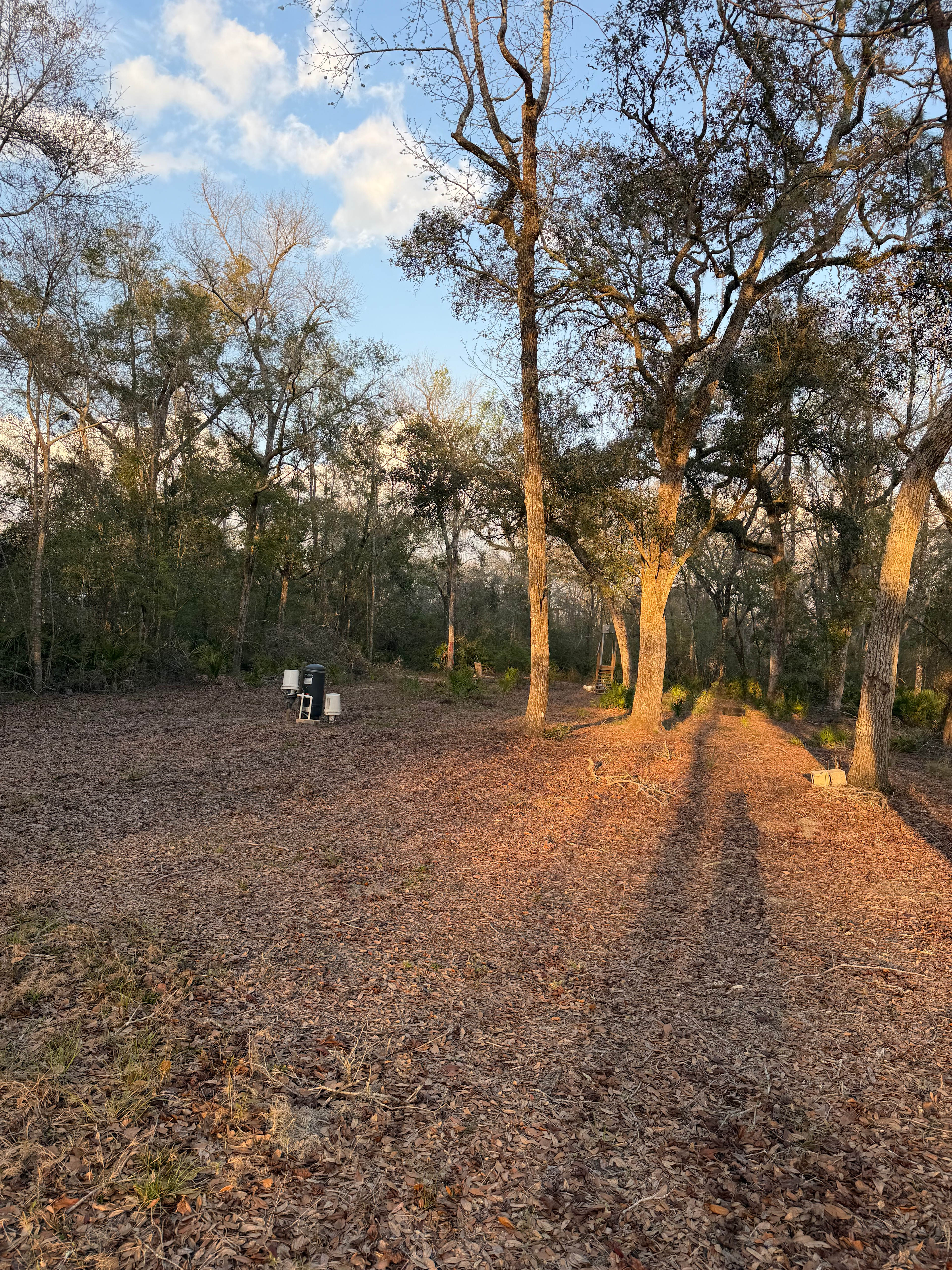 Suwannee Beach Resort