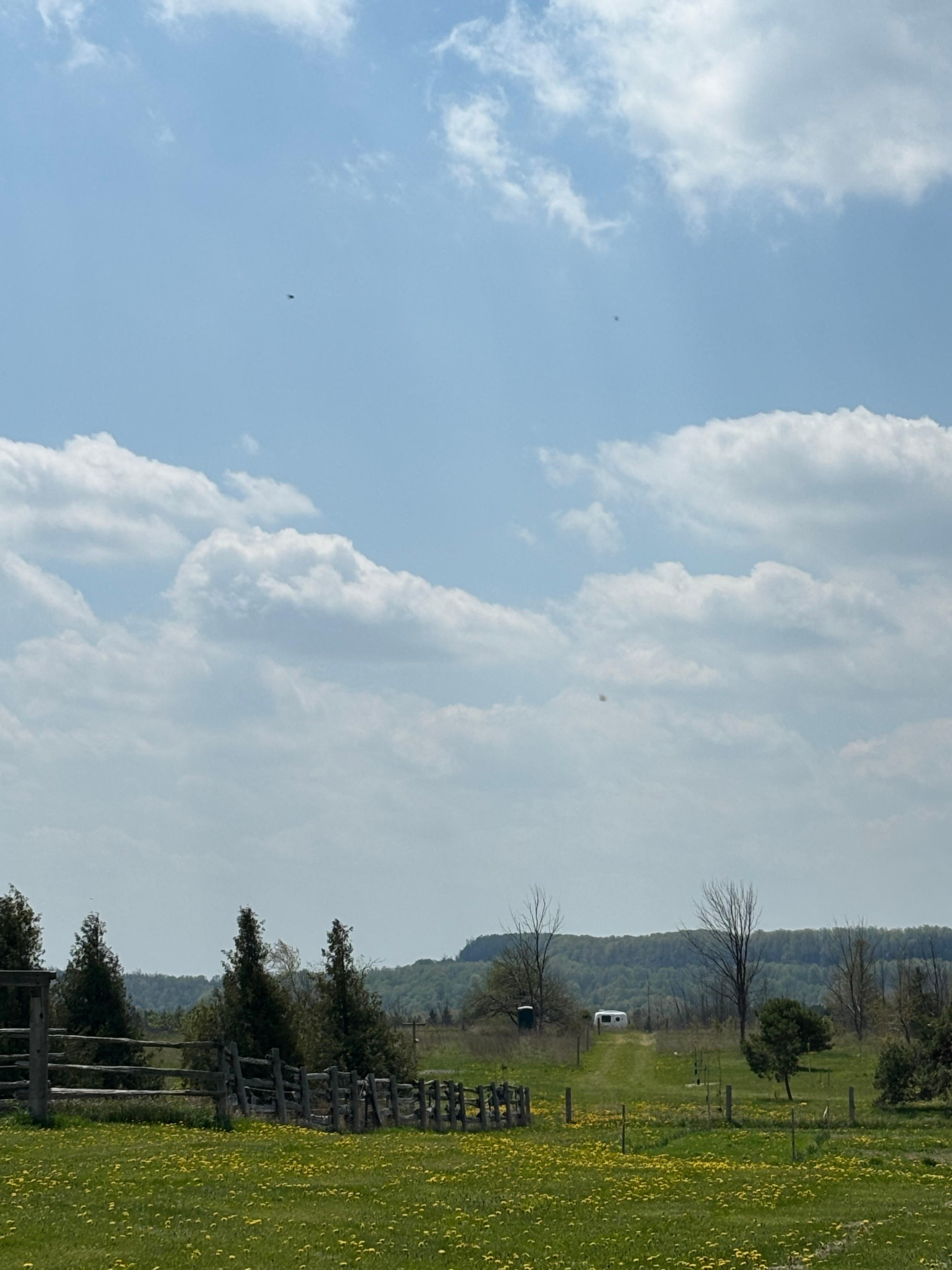 Windcrest Farms