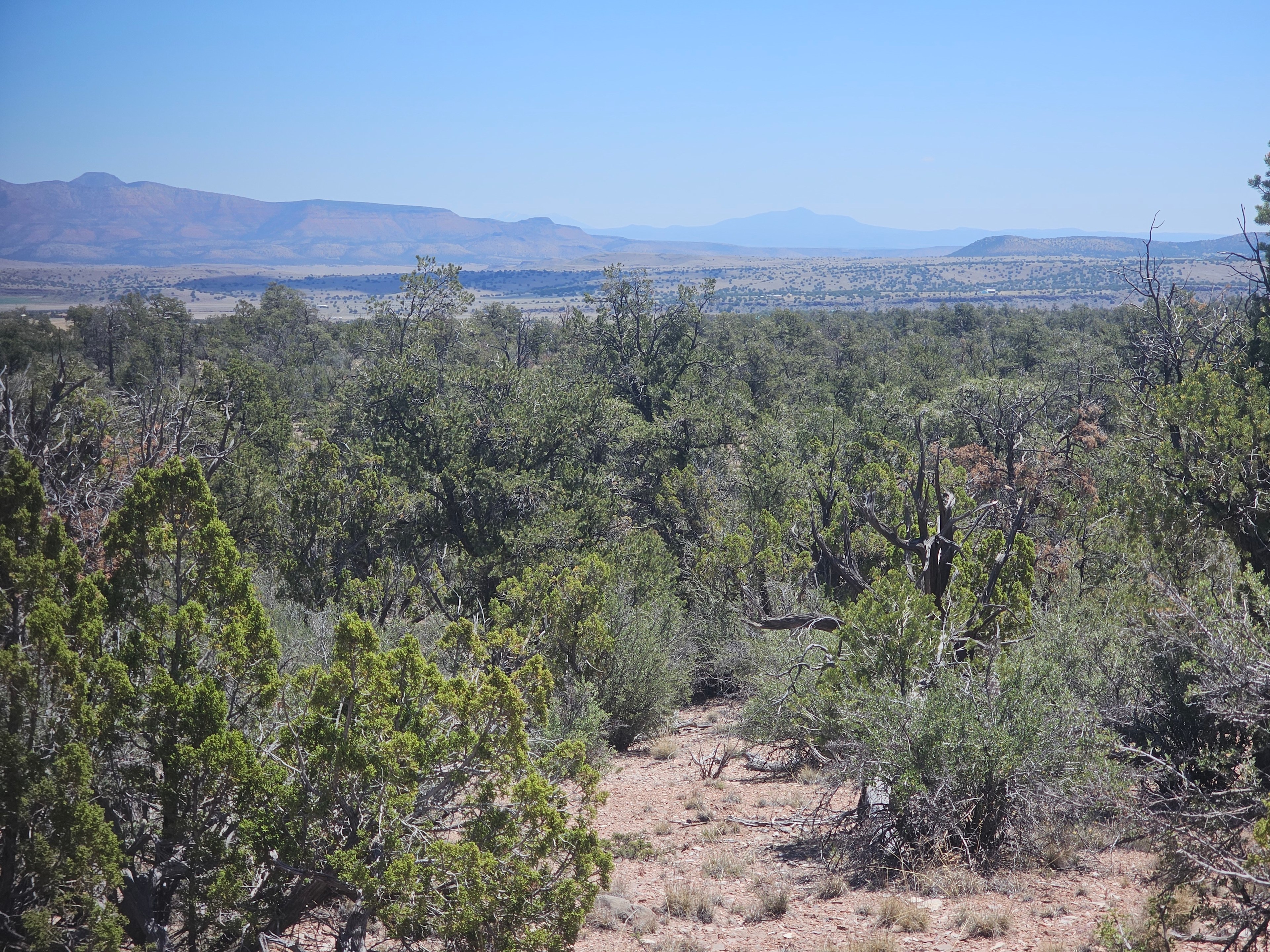 Junipine Ranch