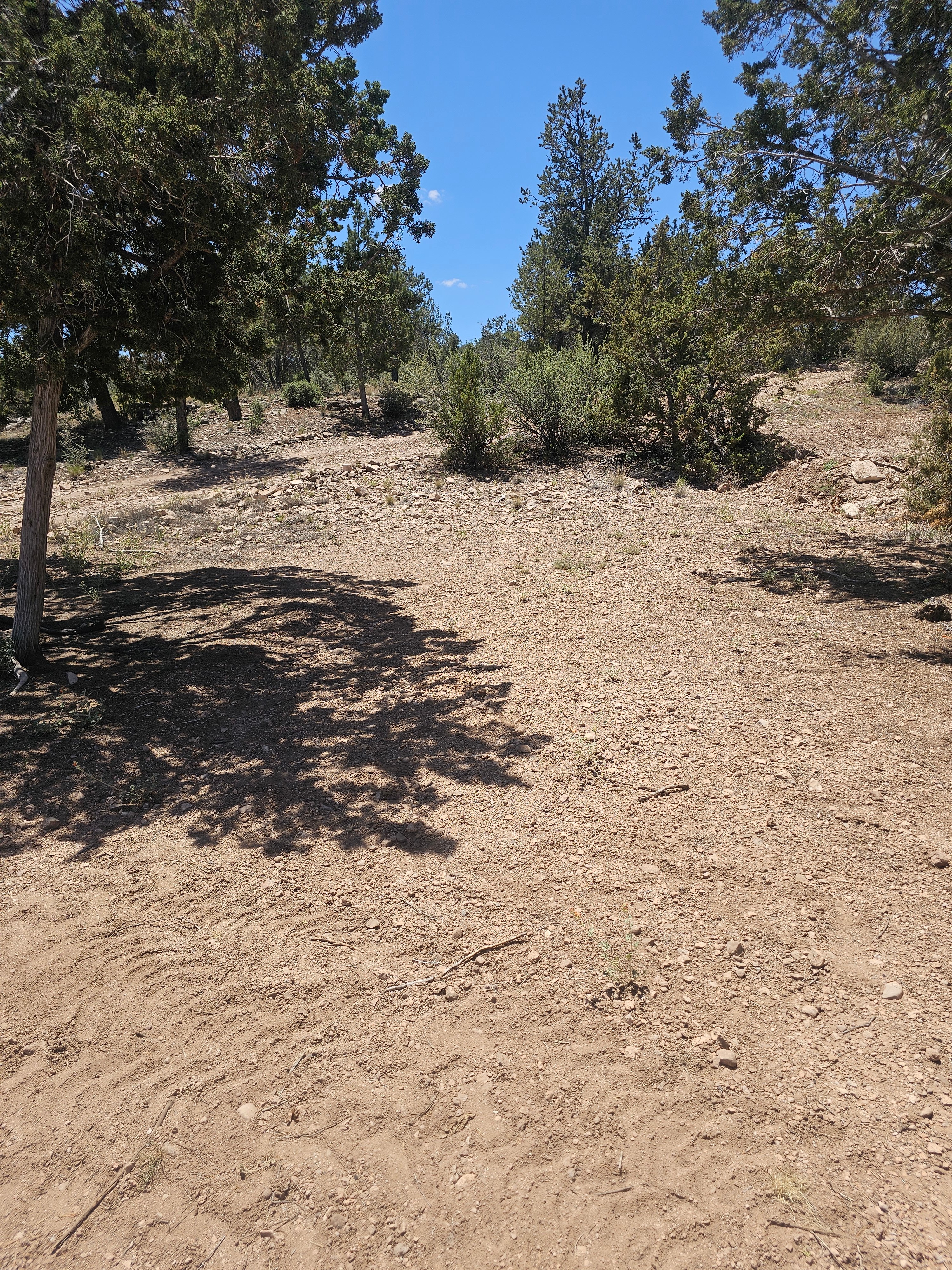 Junipine Ranch